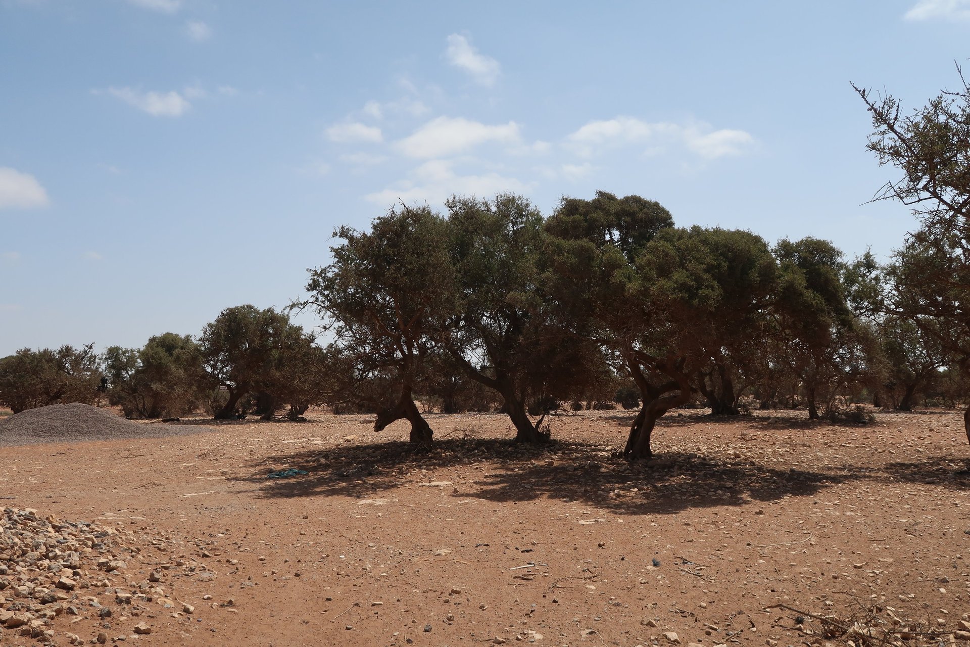 person wearing grey knit sweater
