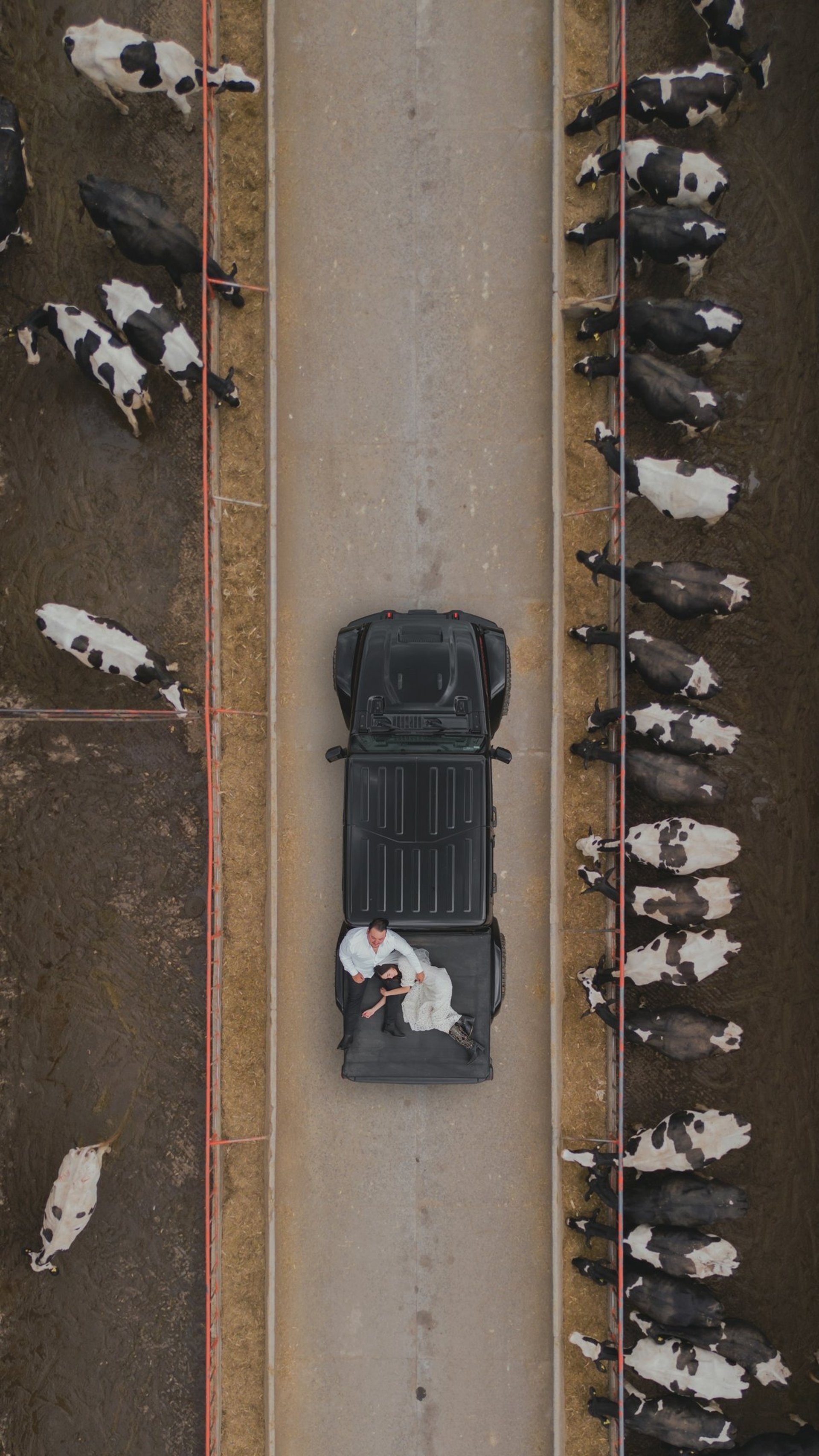 an abstract photo of a curved building with a blue sky in the background