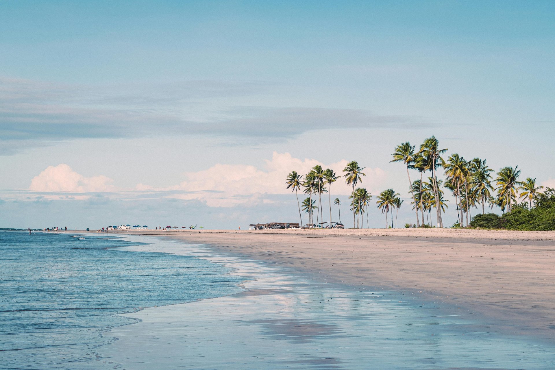 black and white bed linen