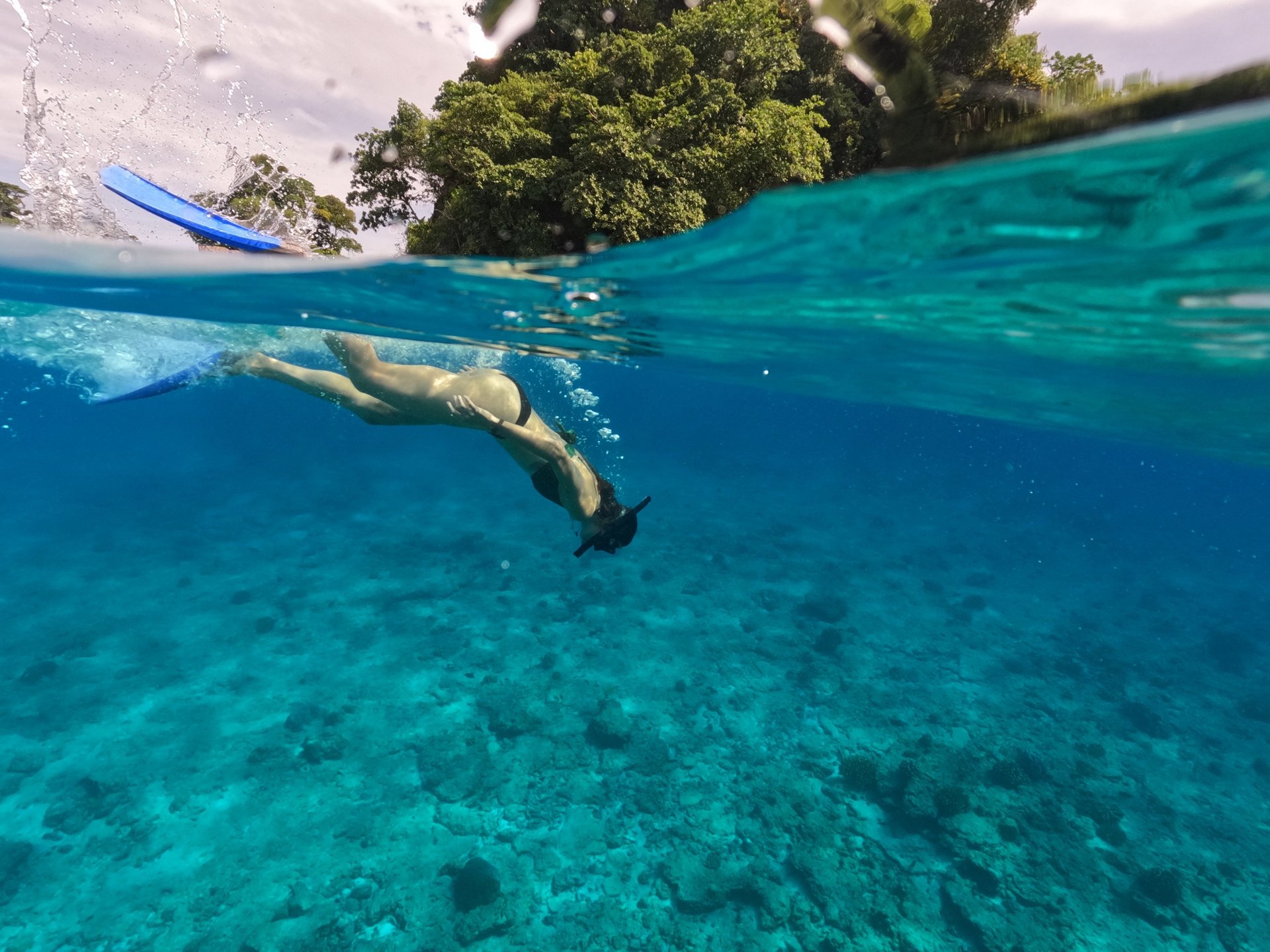 green and brown island in the middle of blue water