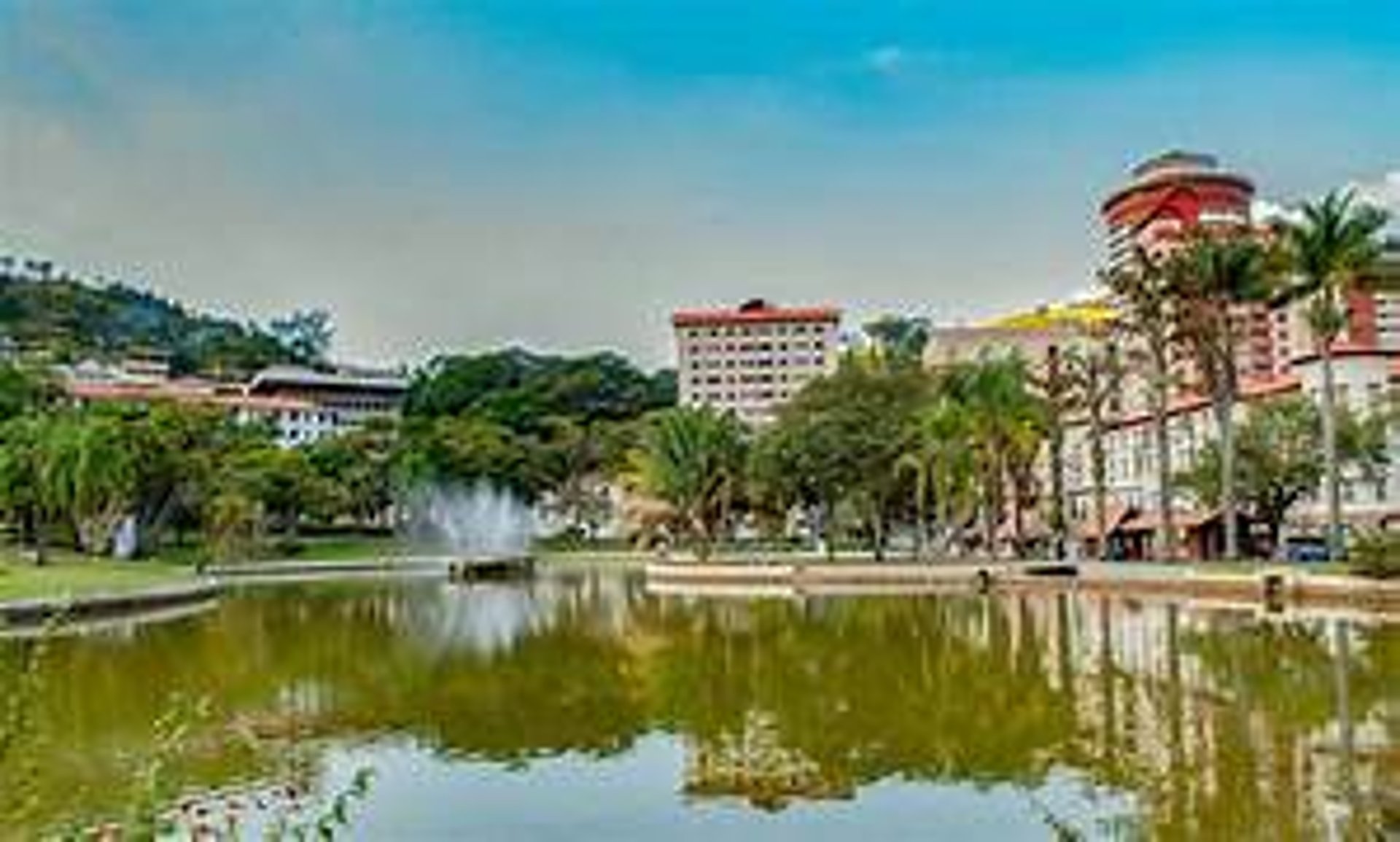black and brown leather padded tub sofa