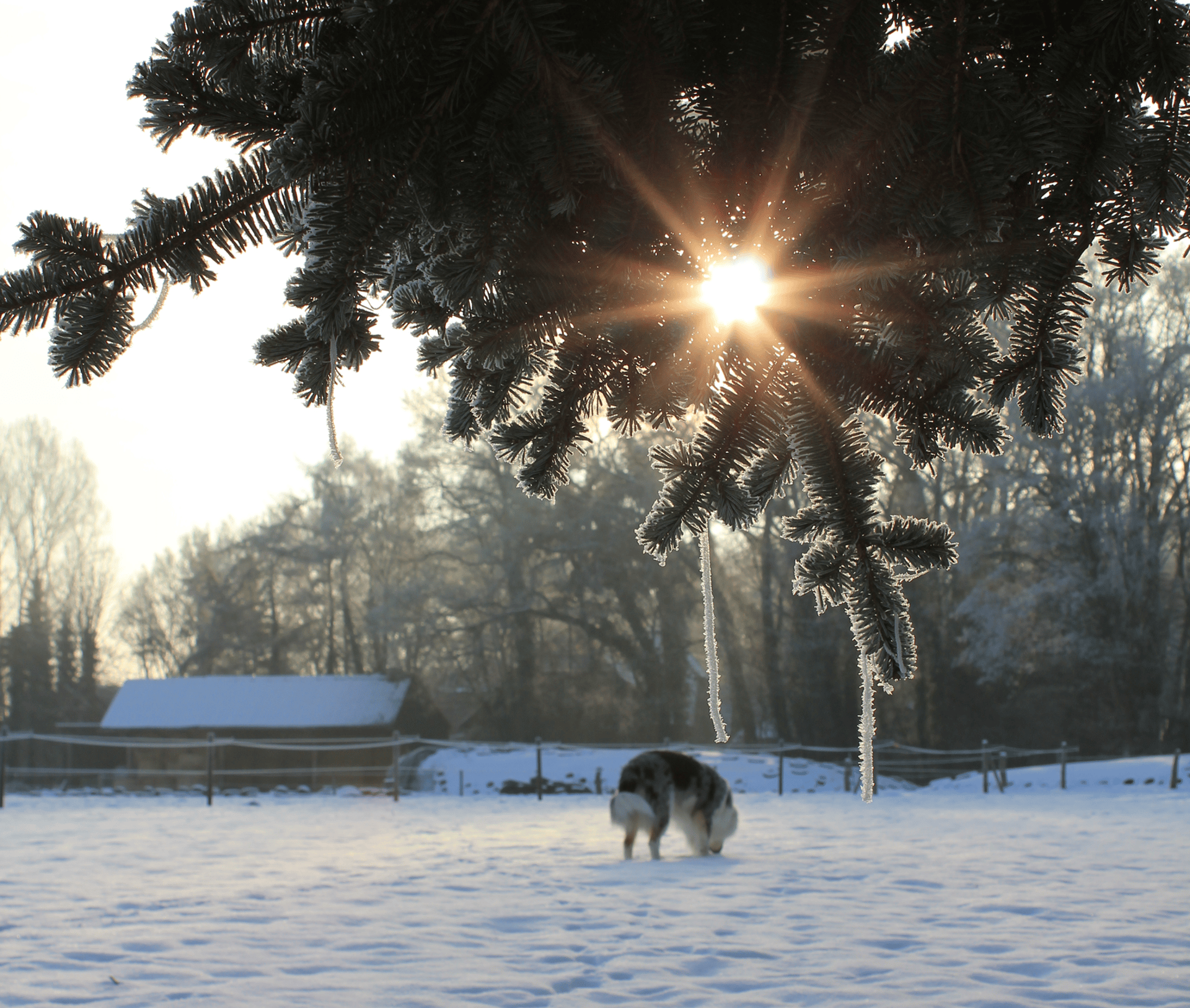 gray computer monitor