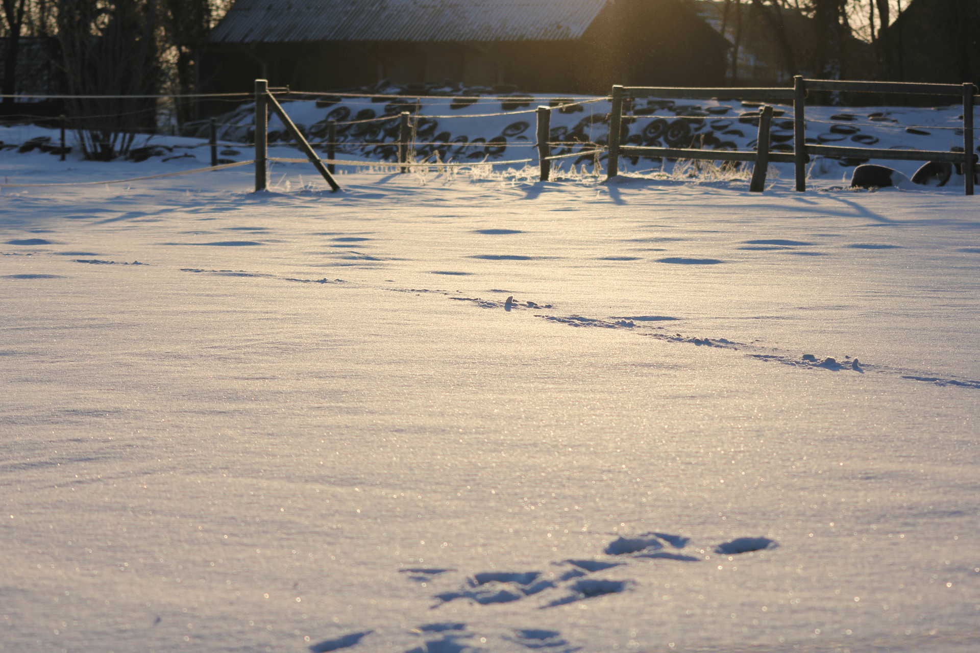 black and brown leather padded tub sofa