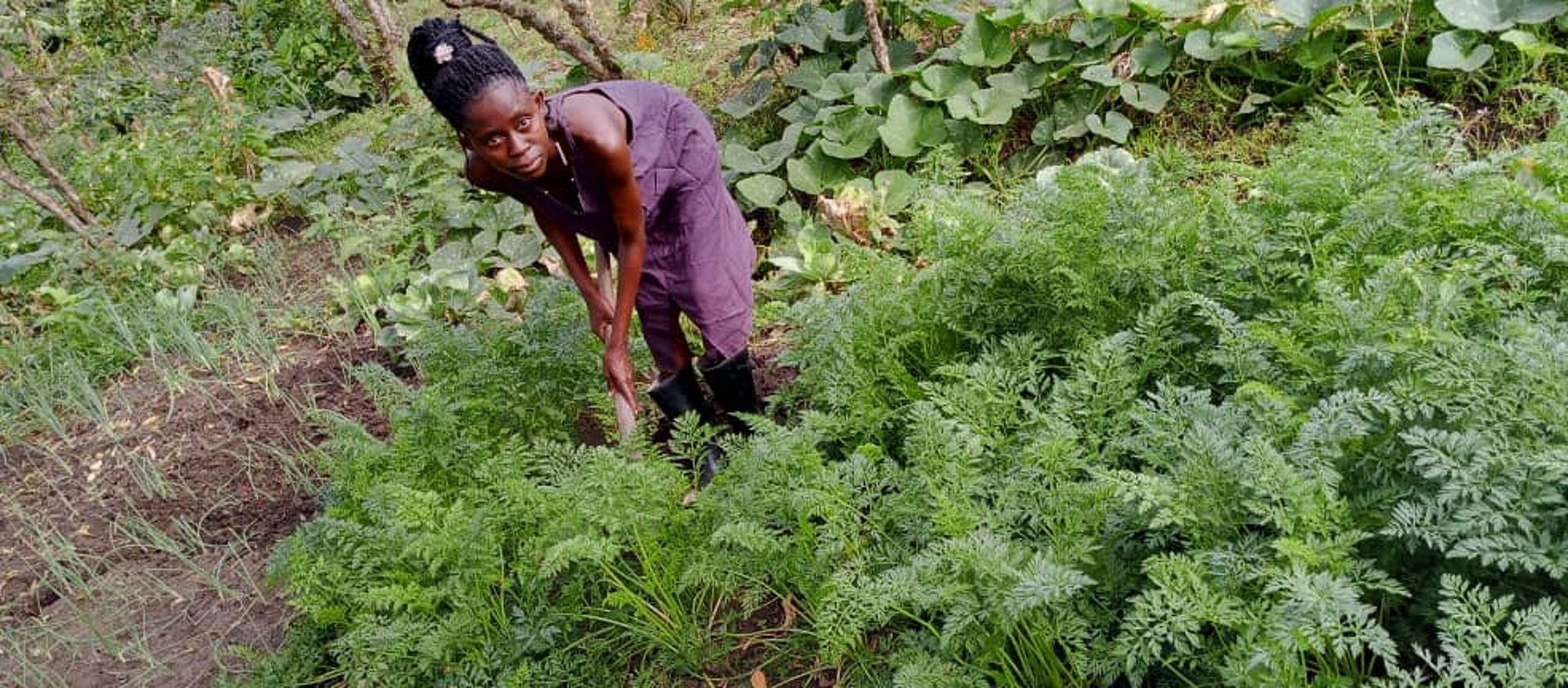 black and brown leather padded tub sofa