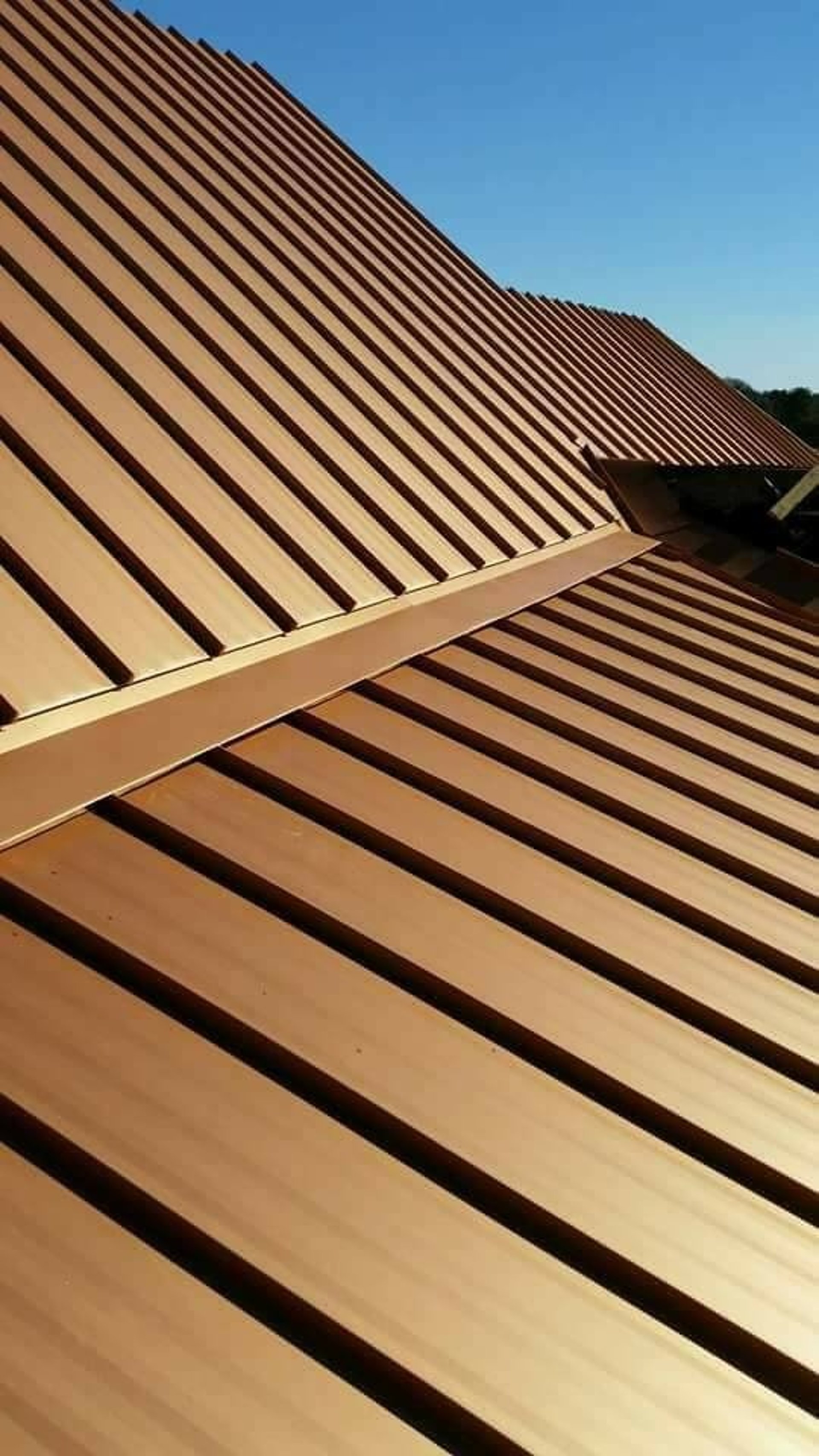 woman wearing yellow long-sleeved dress under white clouds and blue sky during daytime