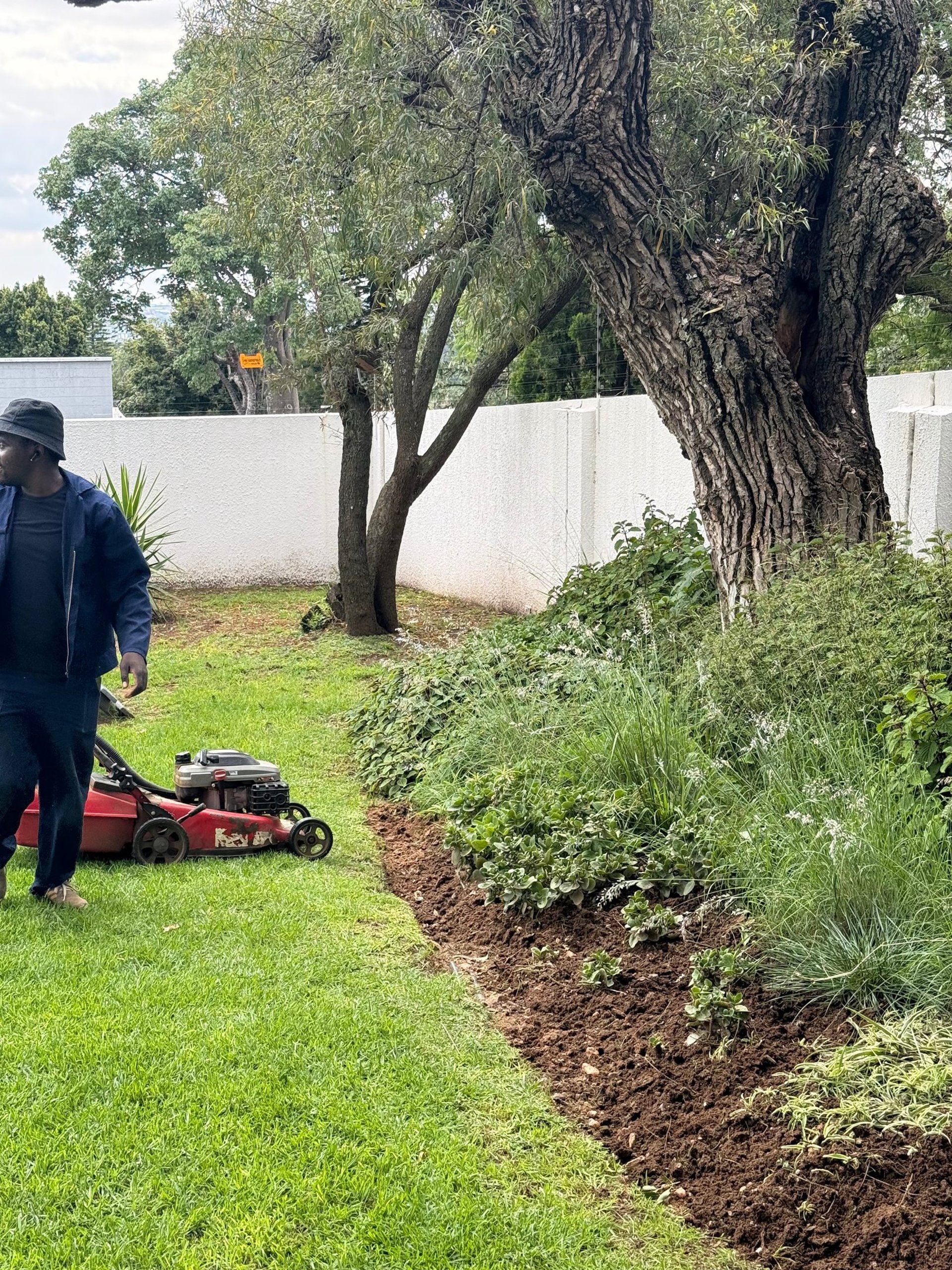 woman wearing yellow long-sleeved dress under white clouds and blue sky during daytime