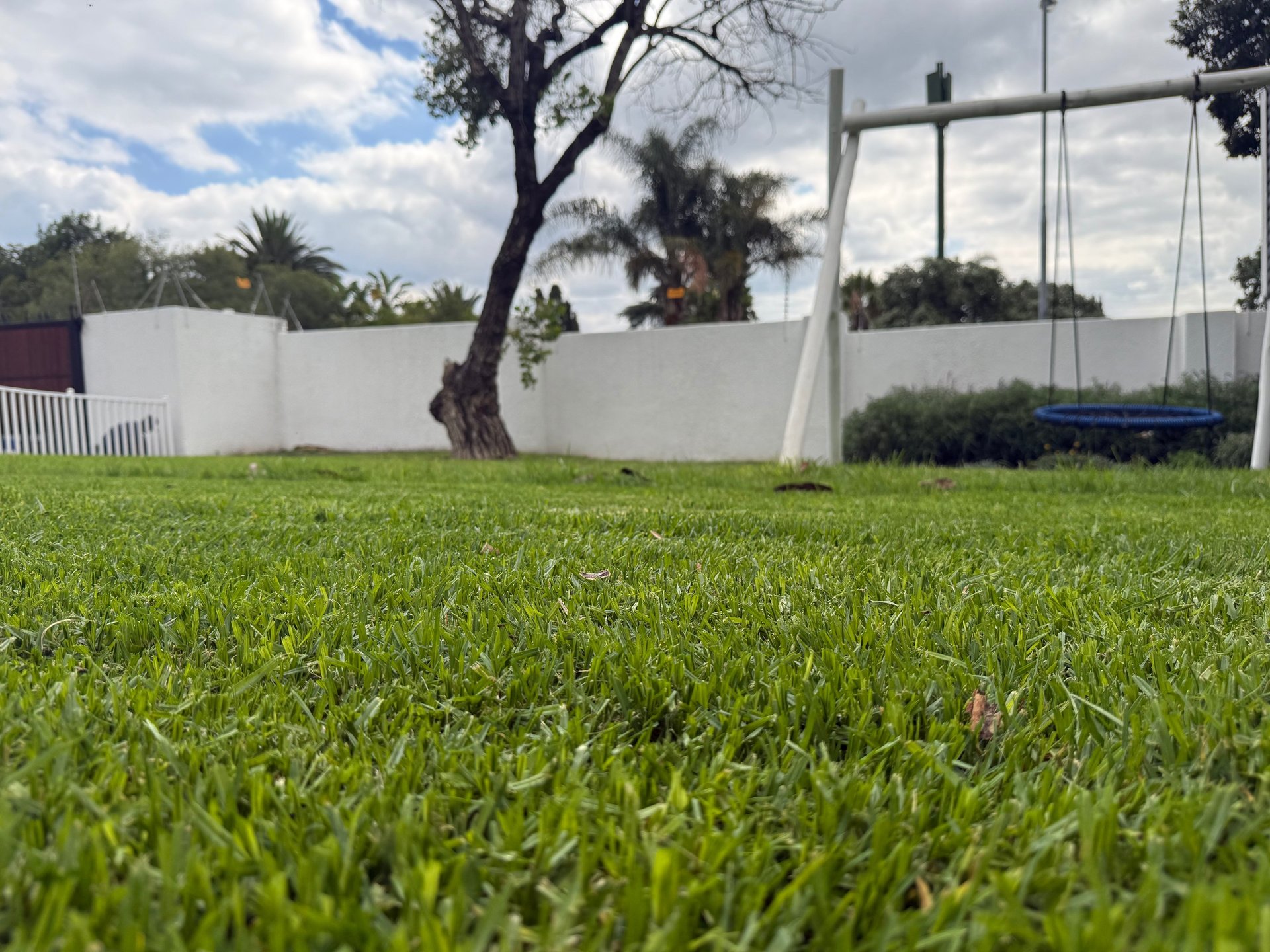 gray computer monitor