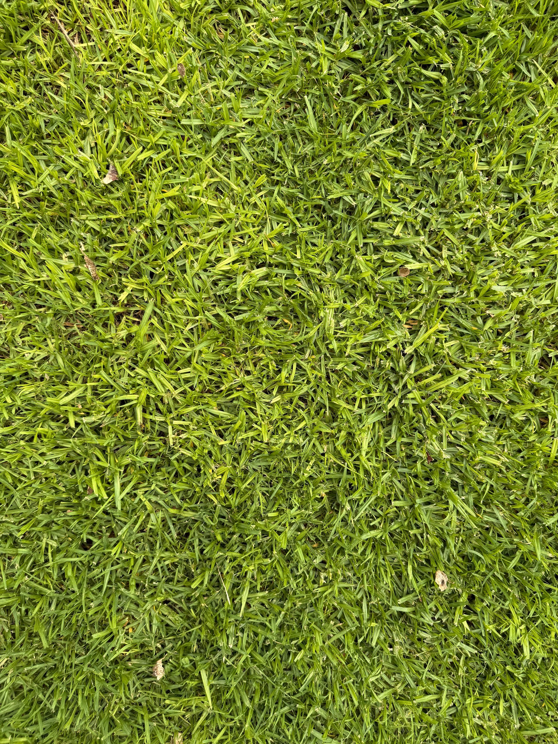 white and black number 10 print