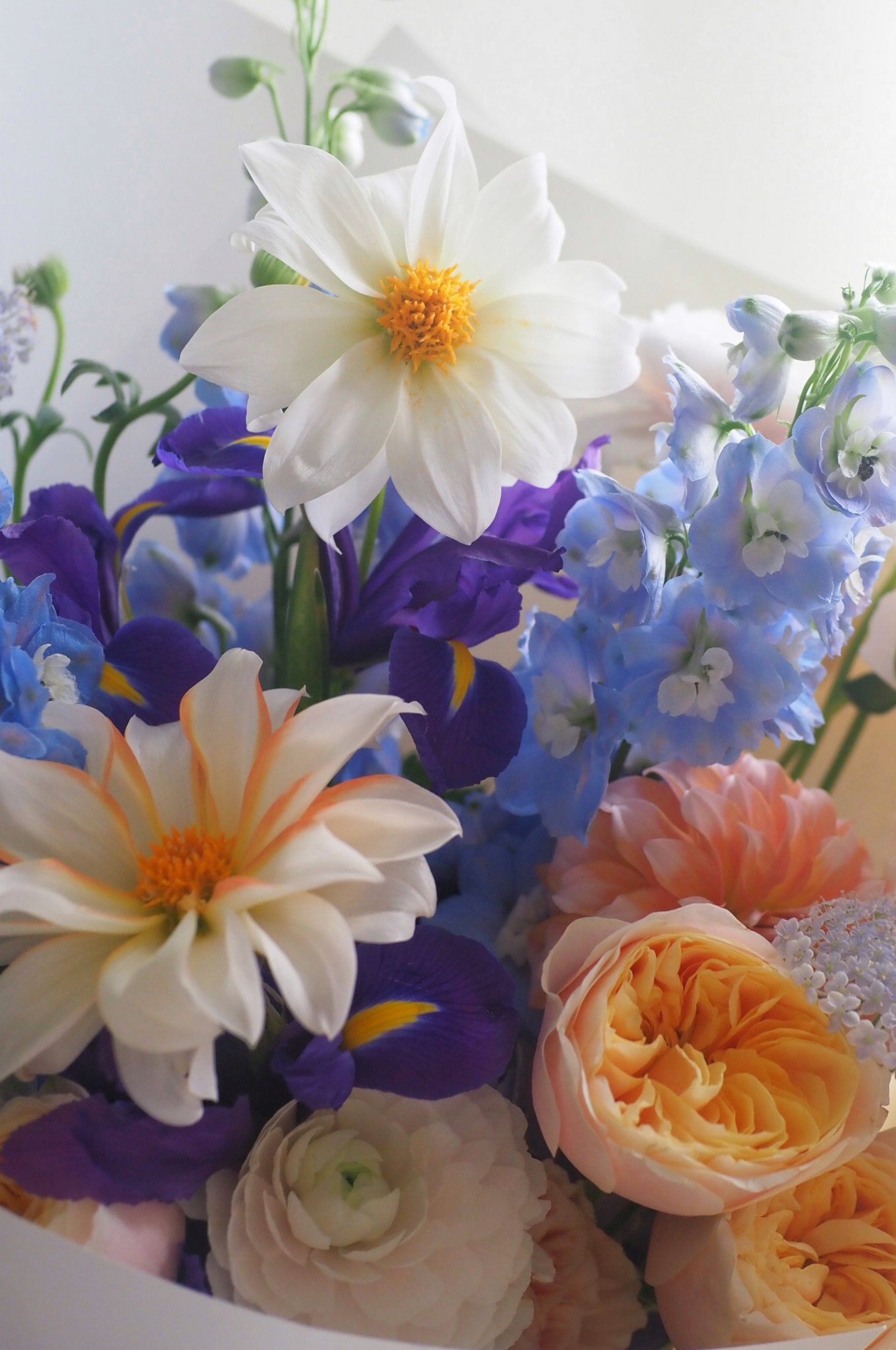 woman holding dried flower