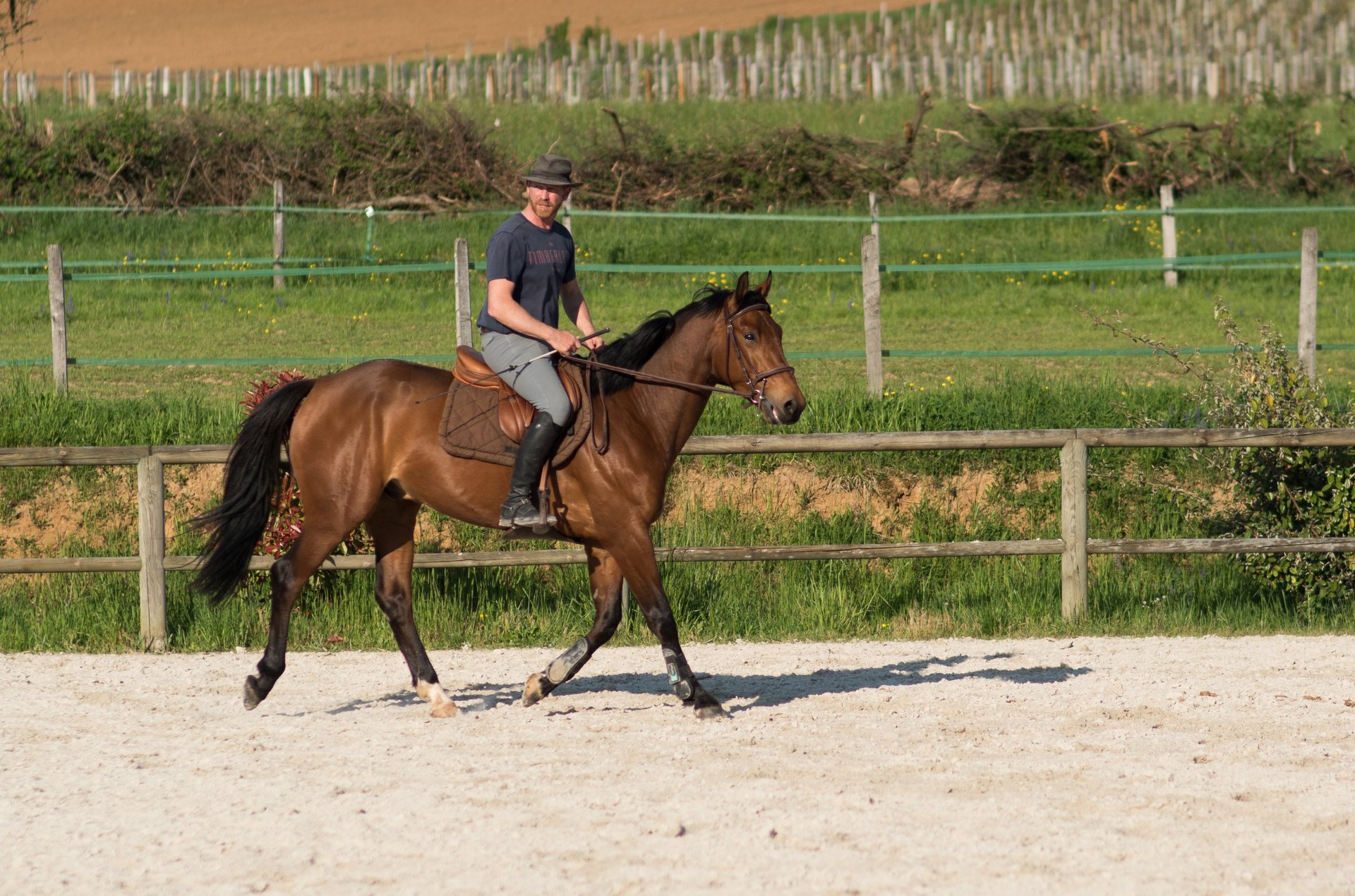 black and white bed linen