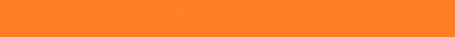 purple lavender flowers