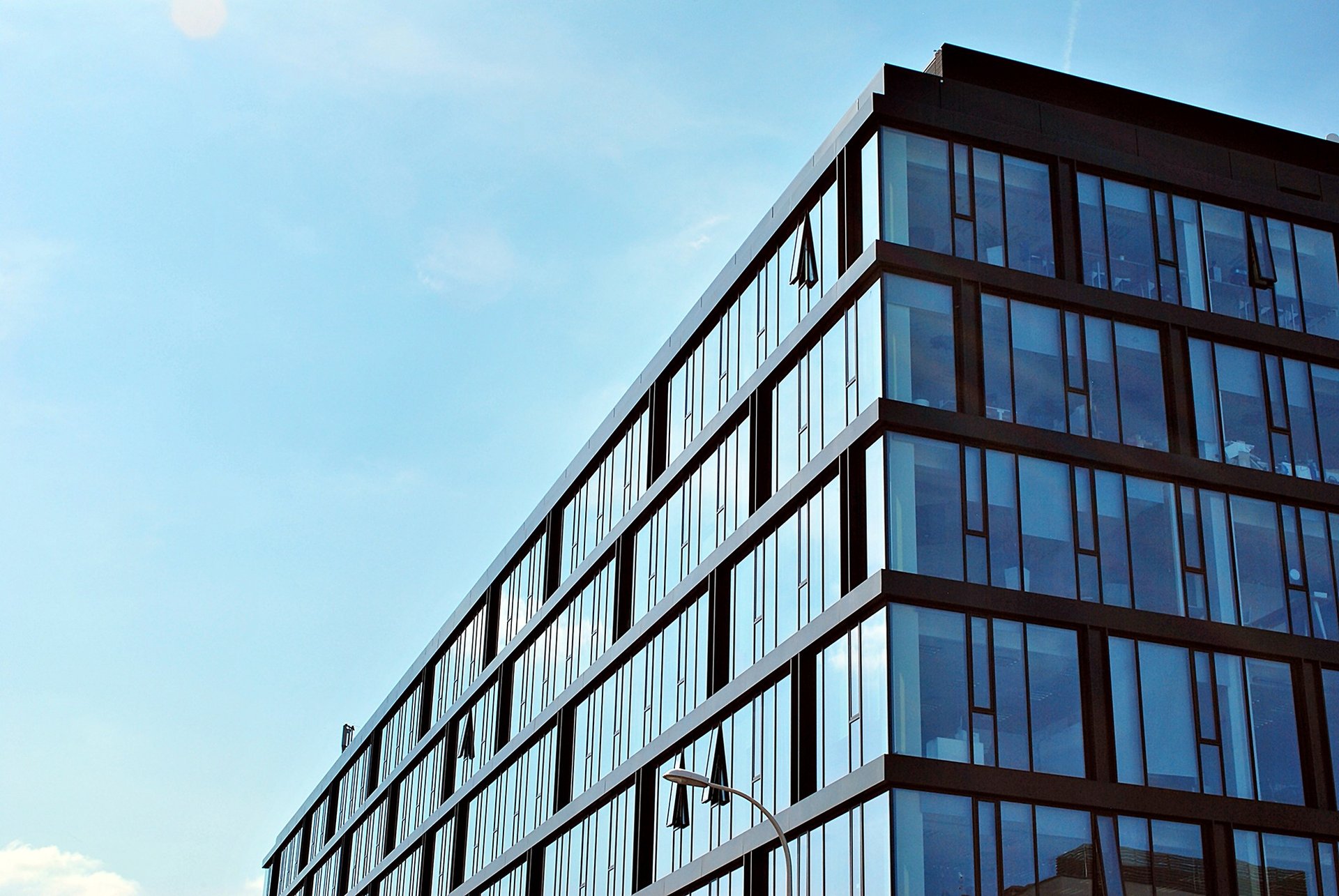 green potted plant on white ceramic floor tiles
