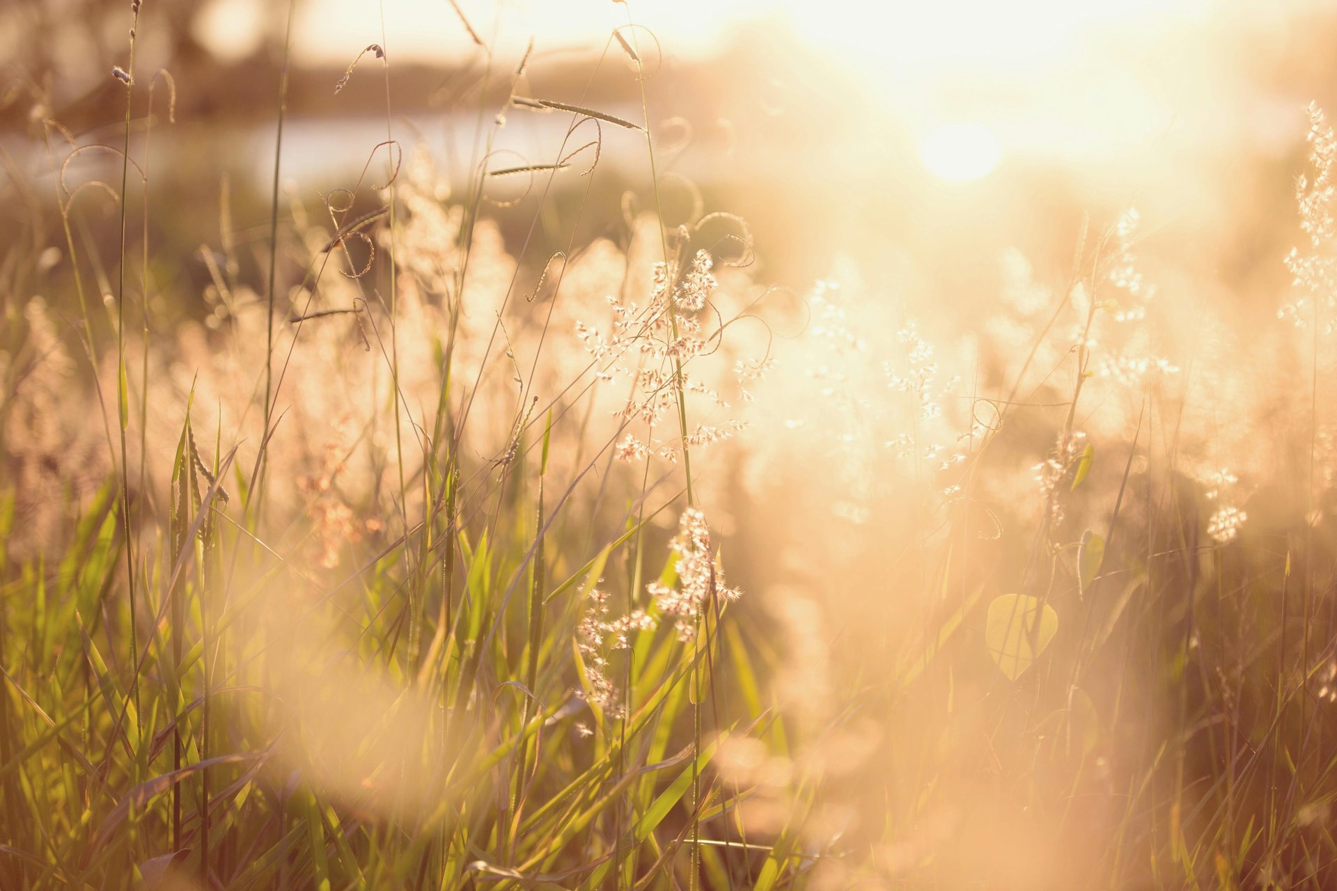 Konsultacija vietoja