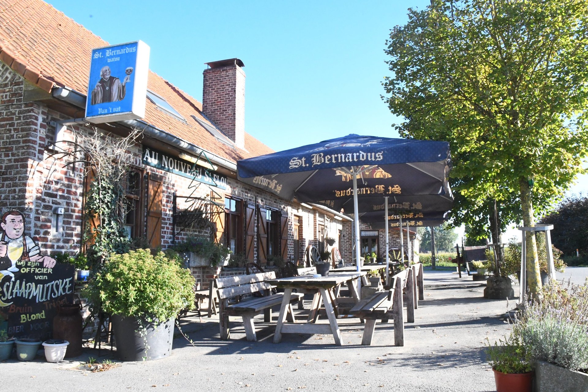Large tree with log seats and outdoor tables