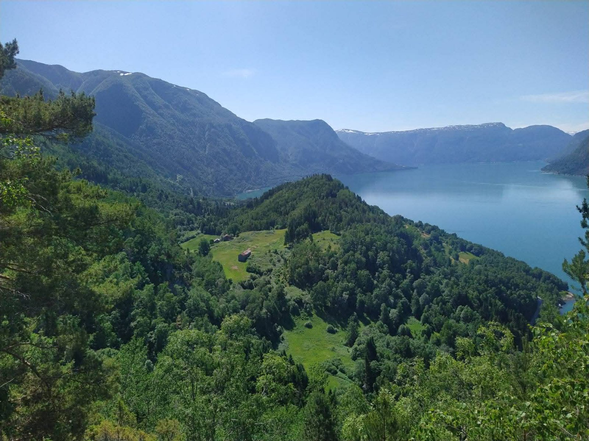 black and brown leather padded tub sofa