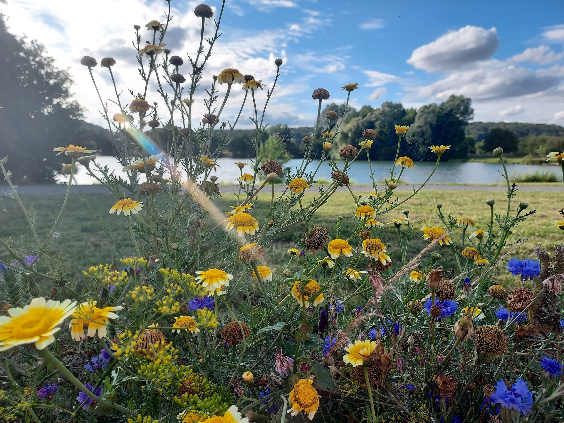 an abstract photo of a curved building with a blue sky in the background