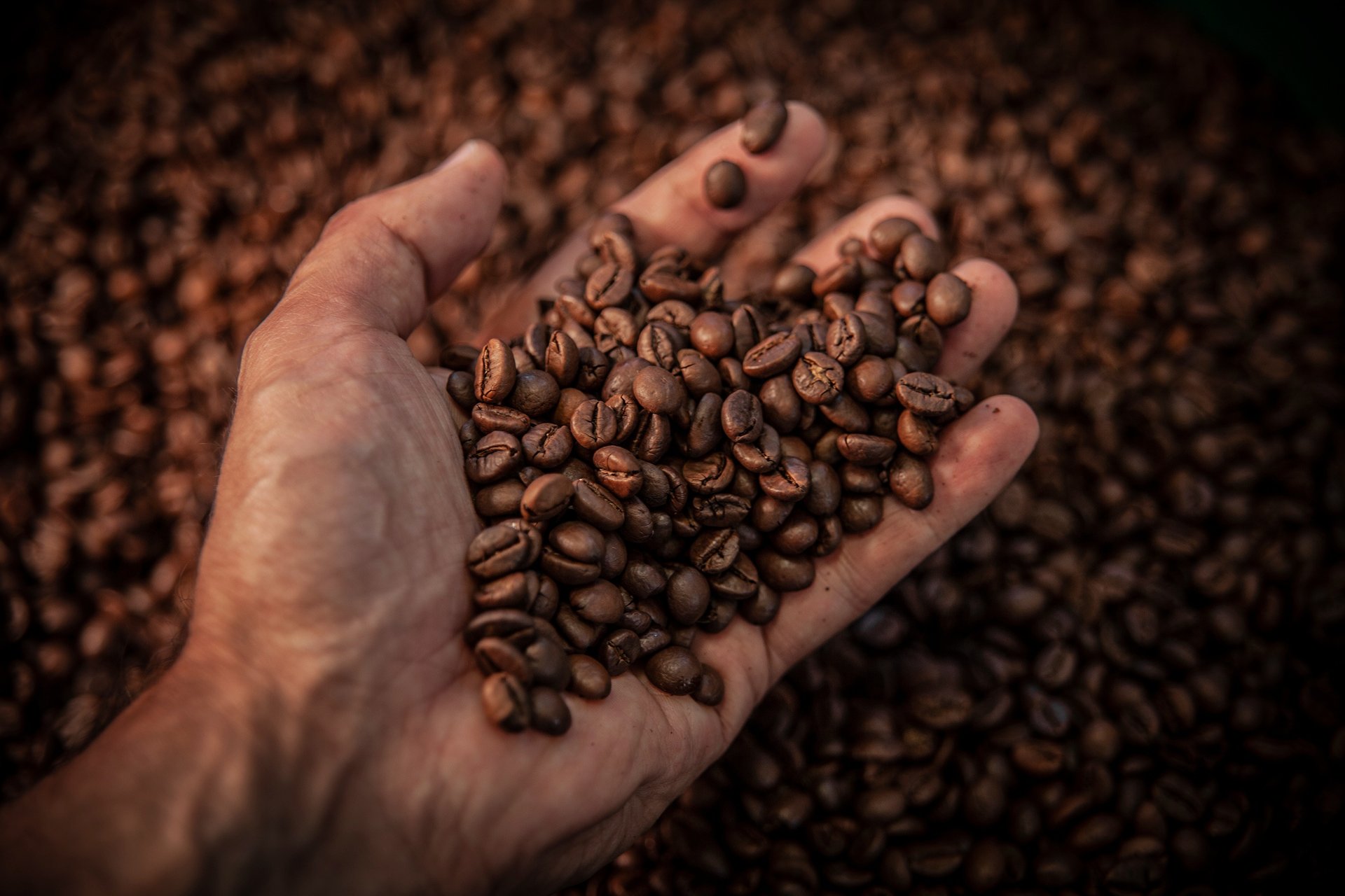 an abstract photo of a curved building with a blue sky in the background