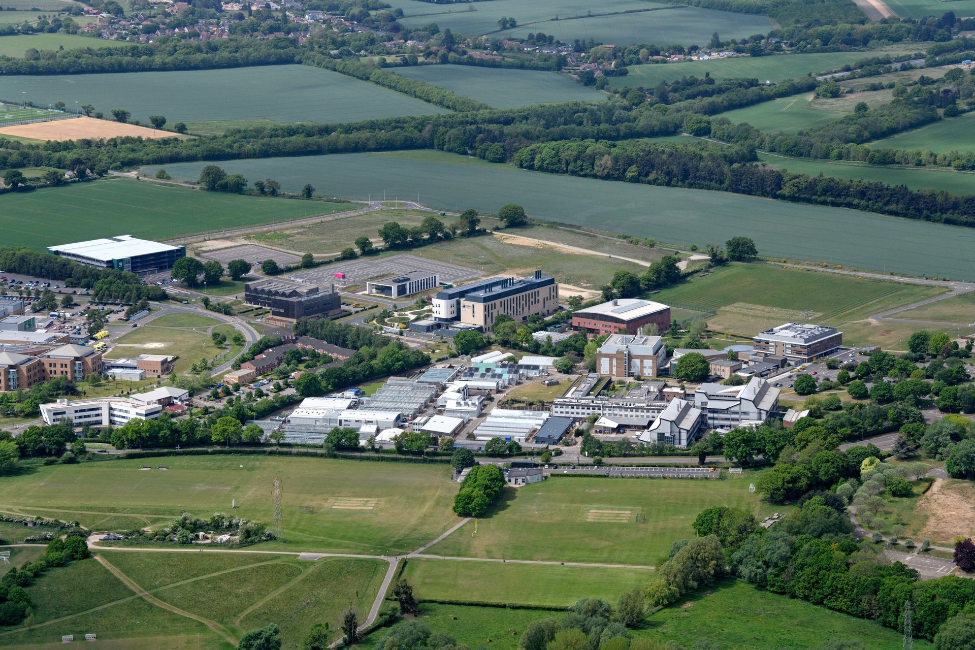 man in black long sleeve shirt sitting on chair beside woman in black and white stripe