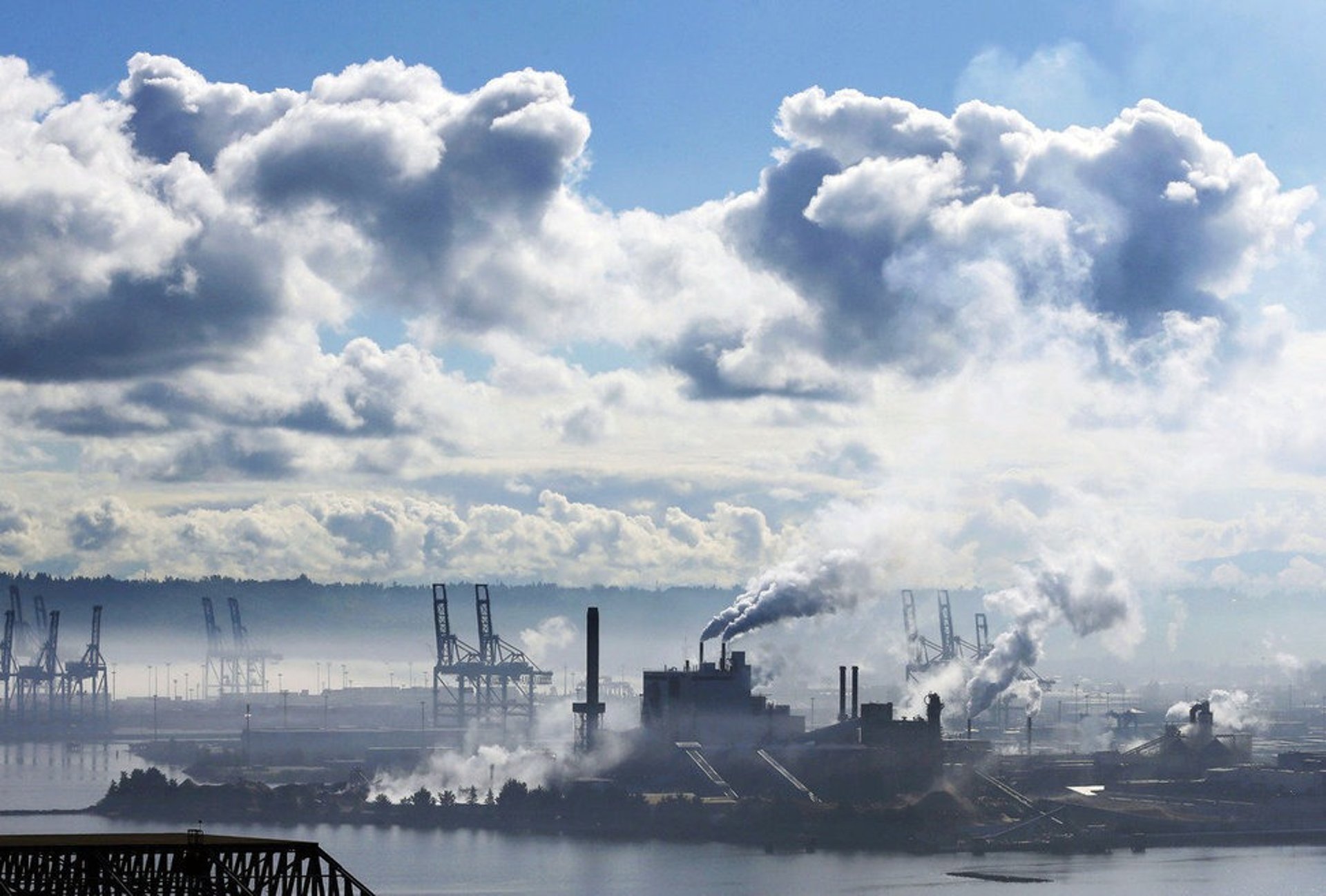 black and brown leather padded tub sofa