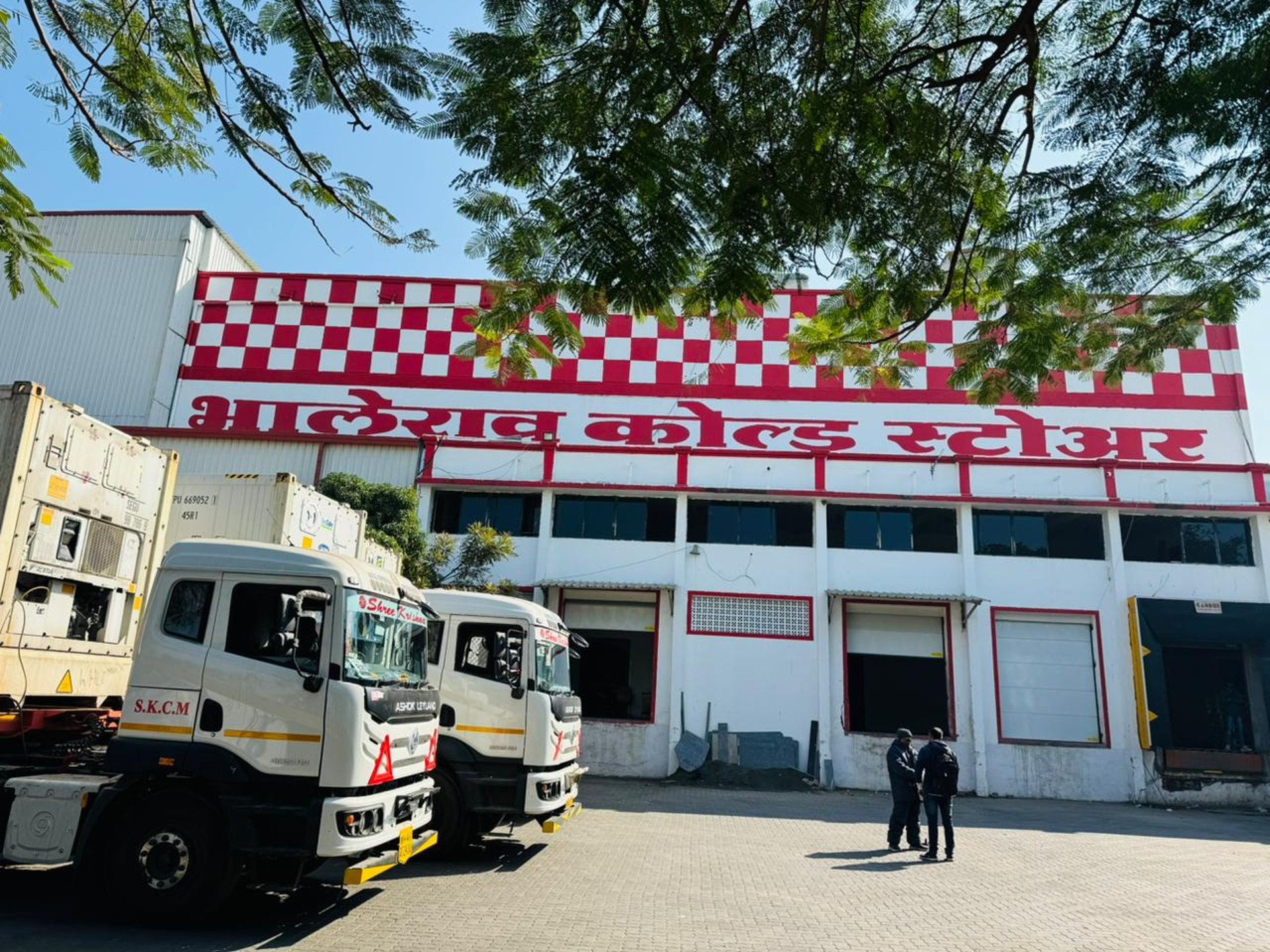 woman wearing yellow long-sleeved dress under white clouds and blue sky during daytime