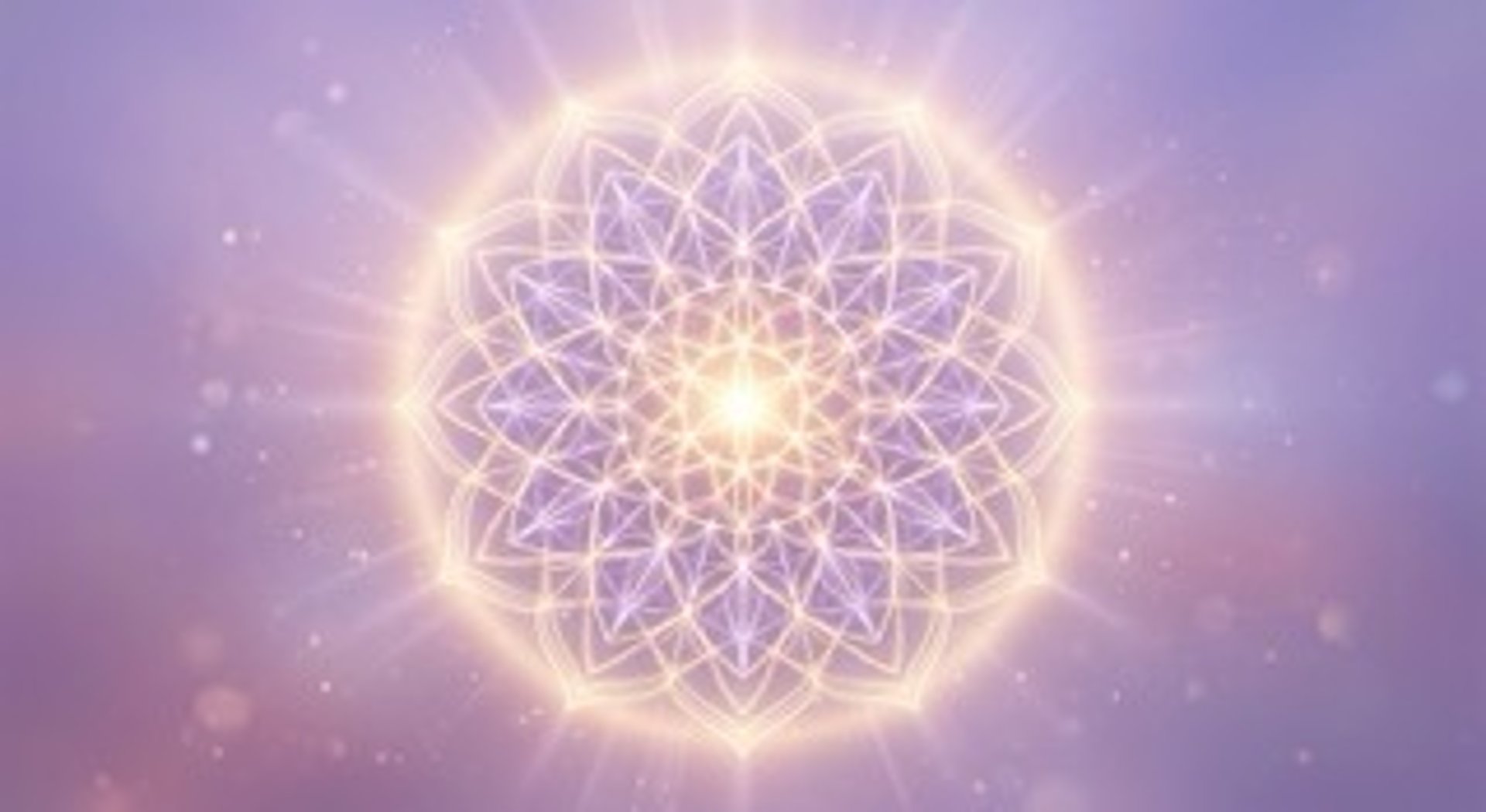 Banner1.jpg