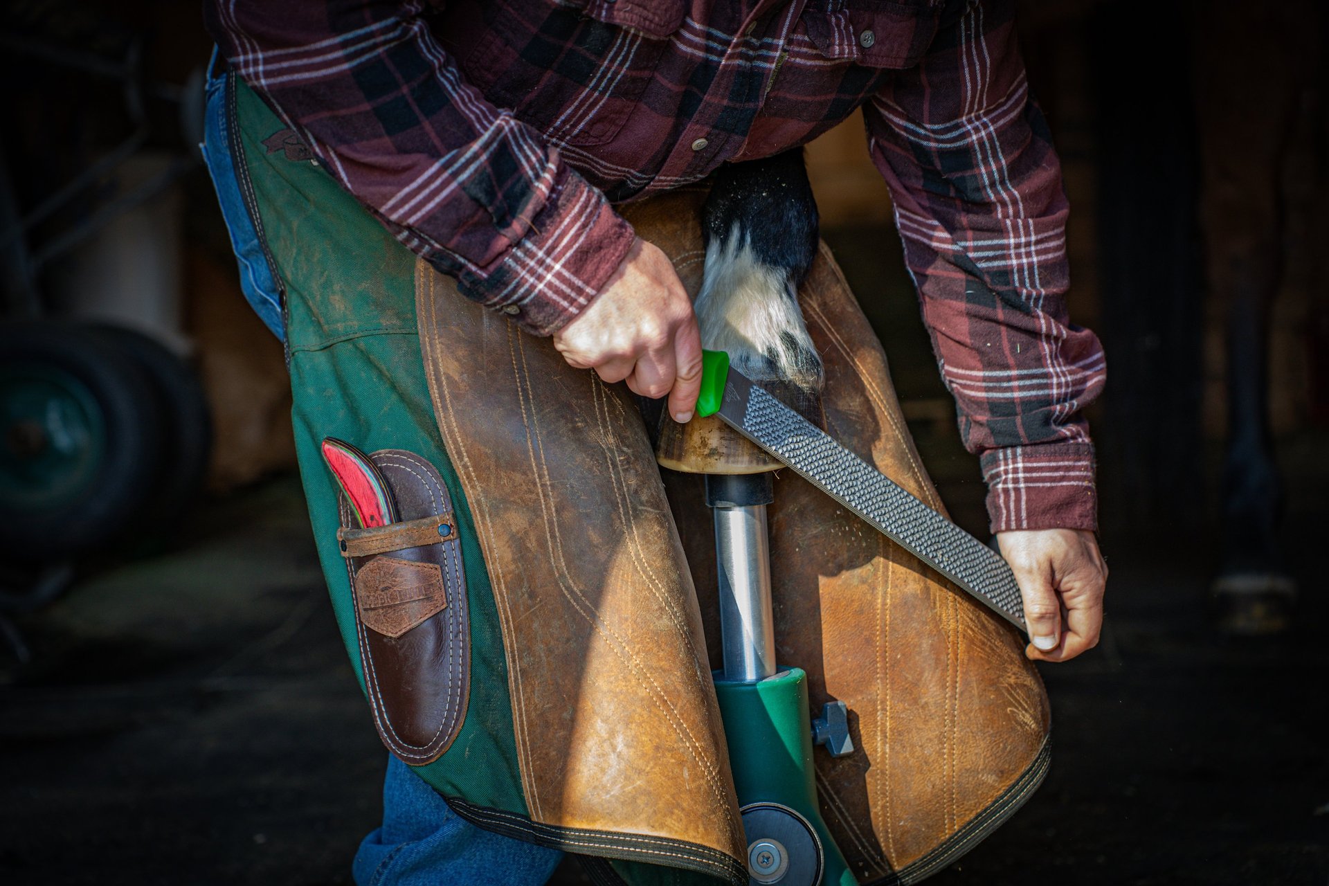 a close up of a person holding a horse