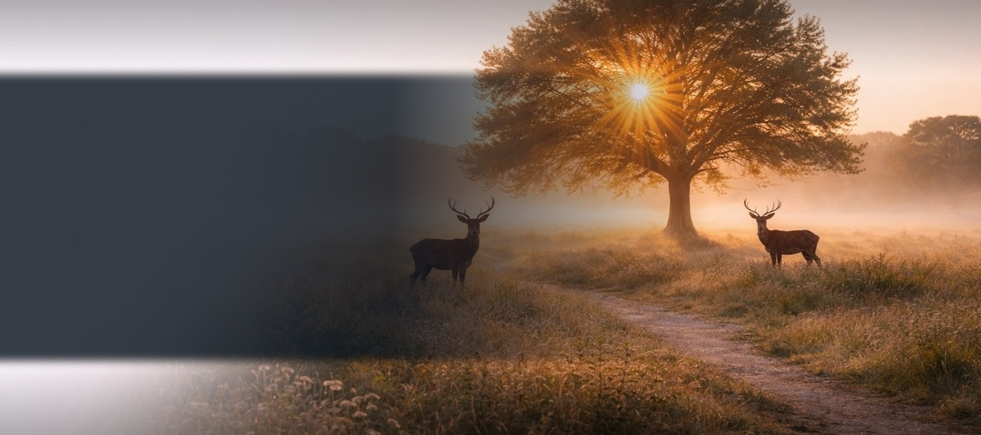 black and brown leather padded tub sofa