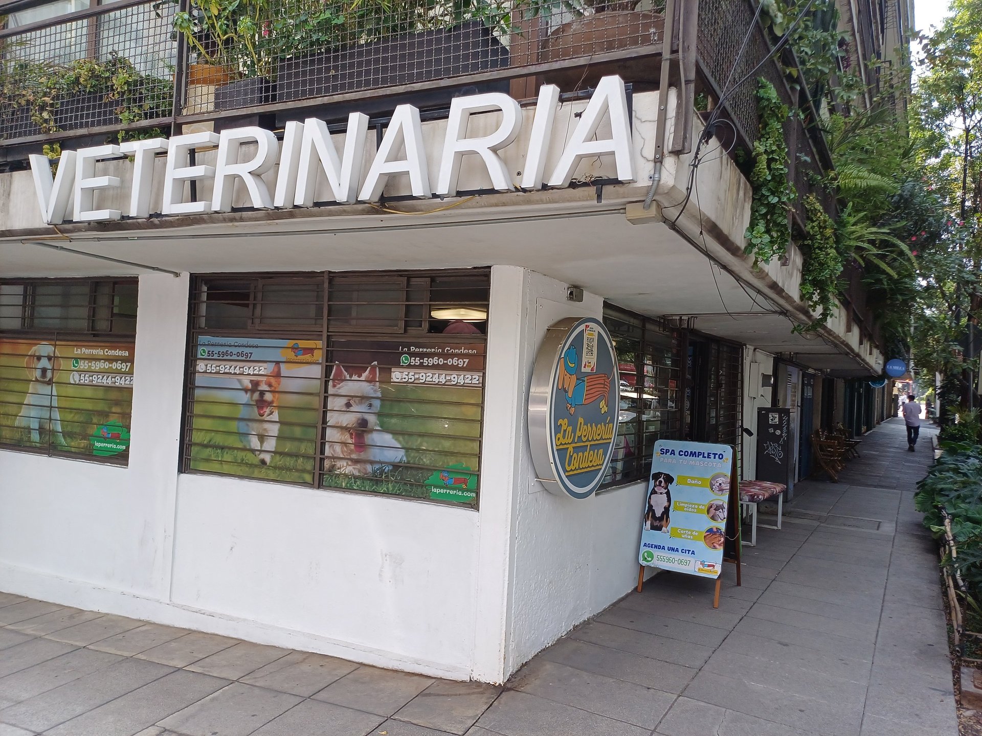 gray computer monitor