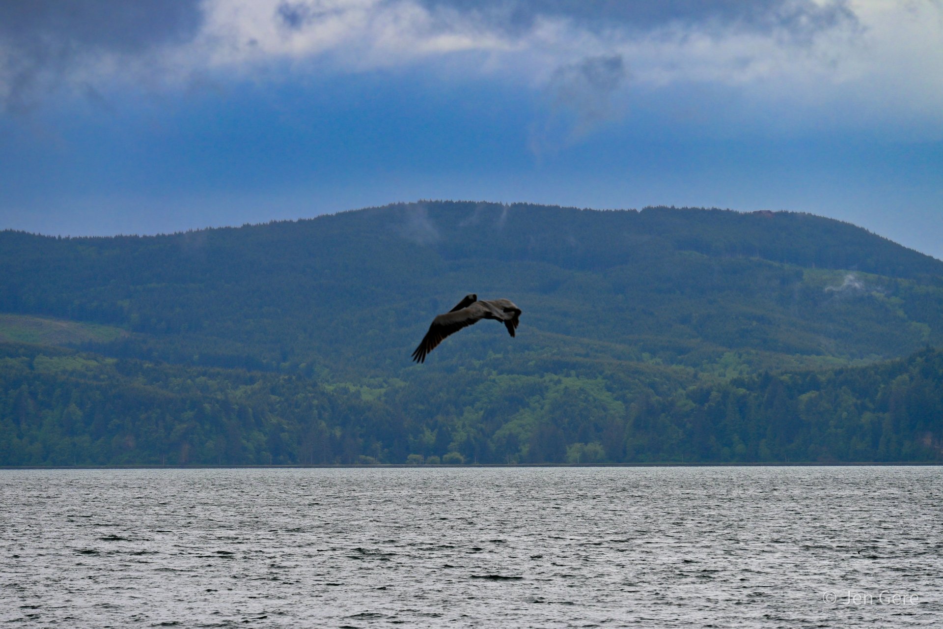 black and brown leather padded tub sofa