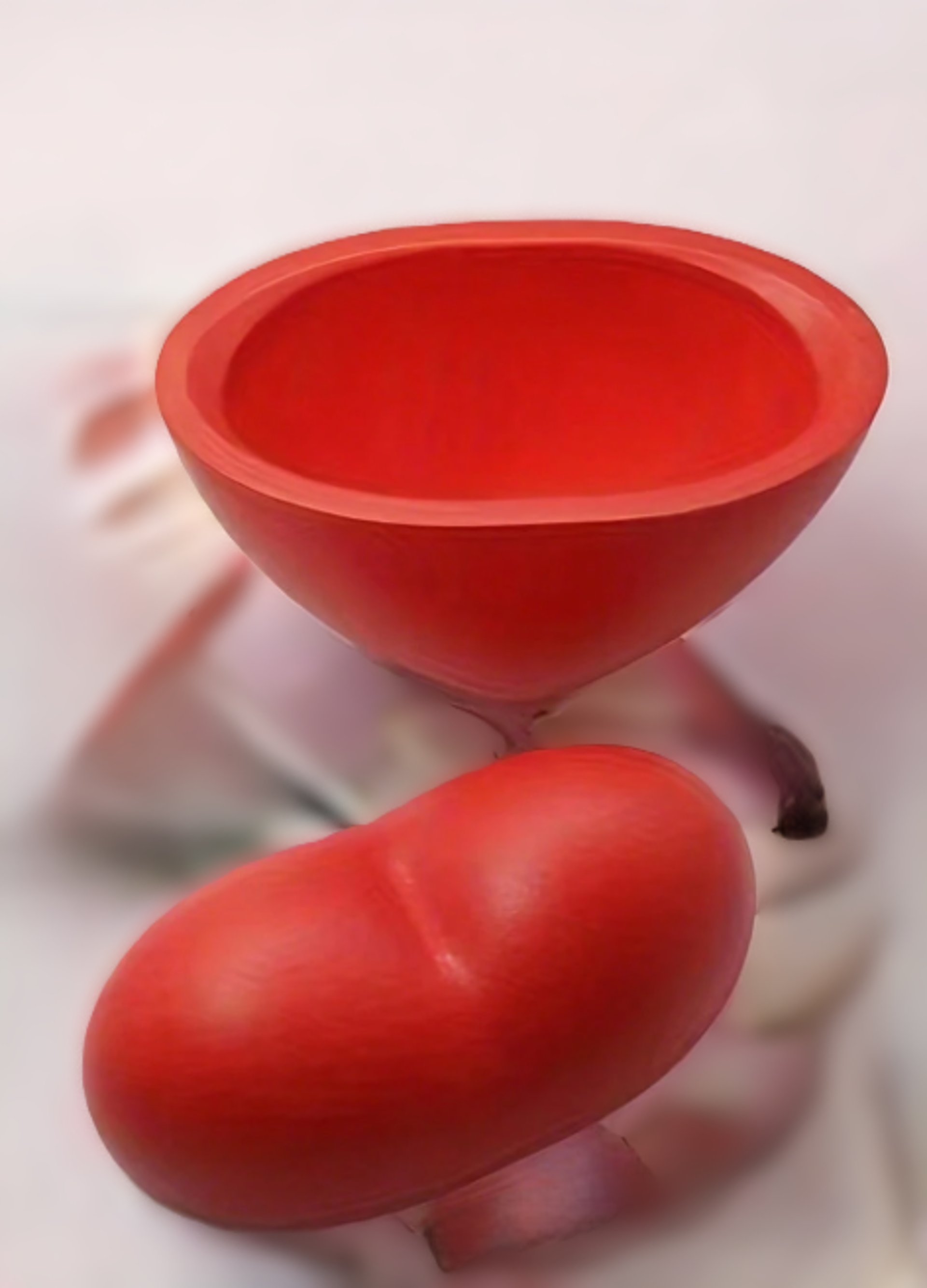 woman holding dried flower