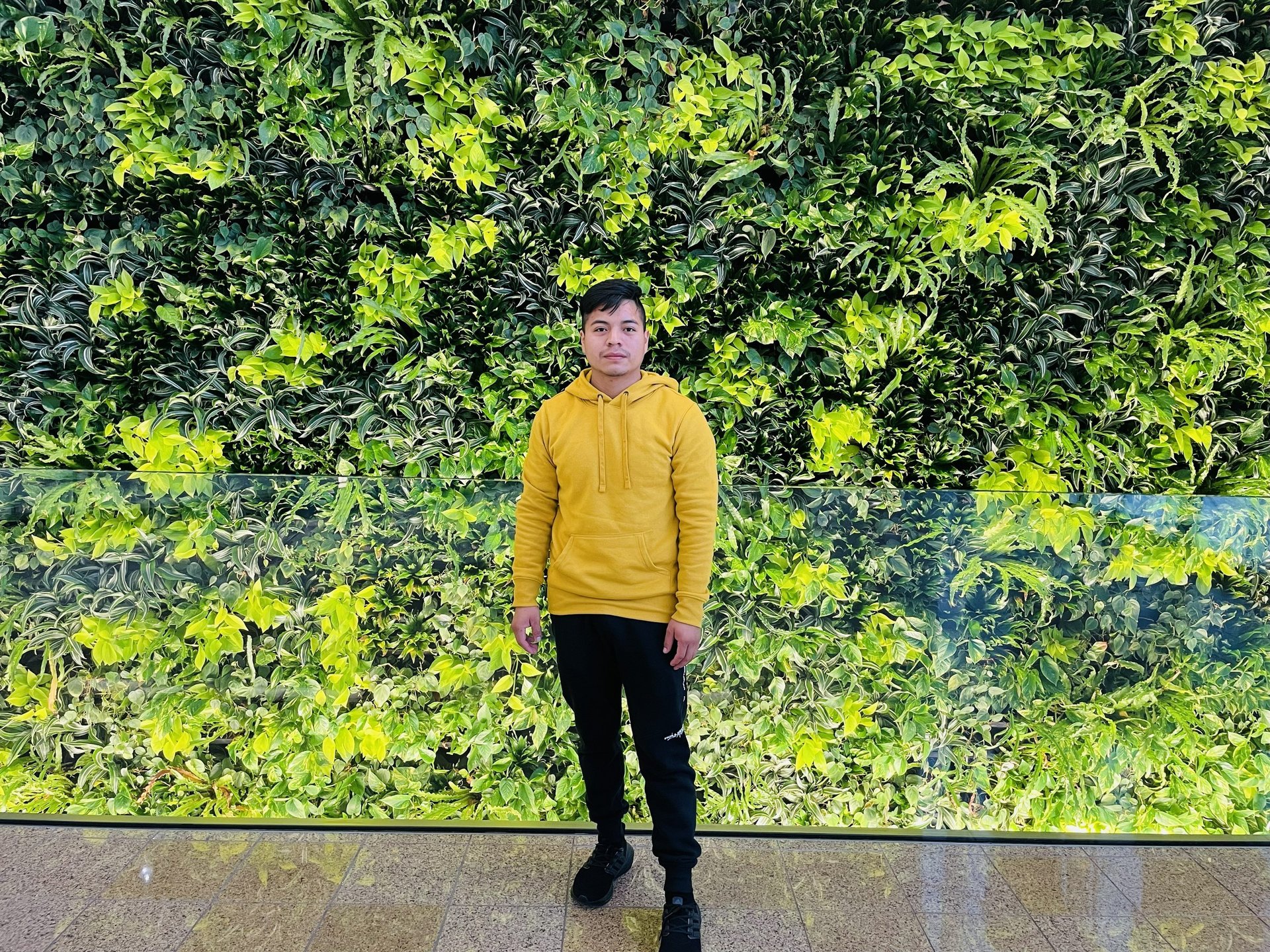 black blue and yellow textile