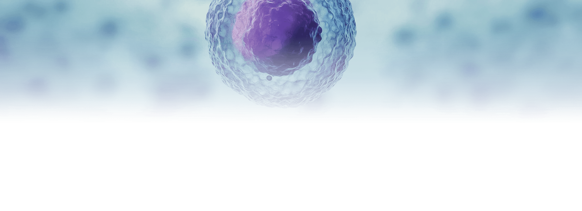 background pattern