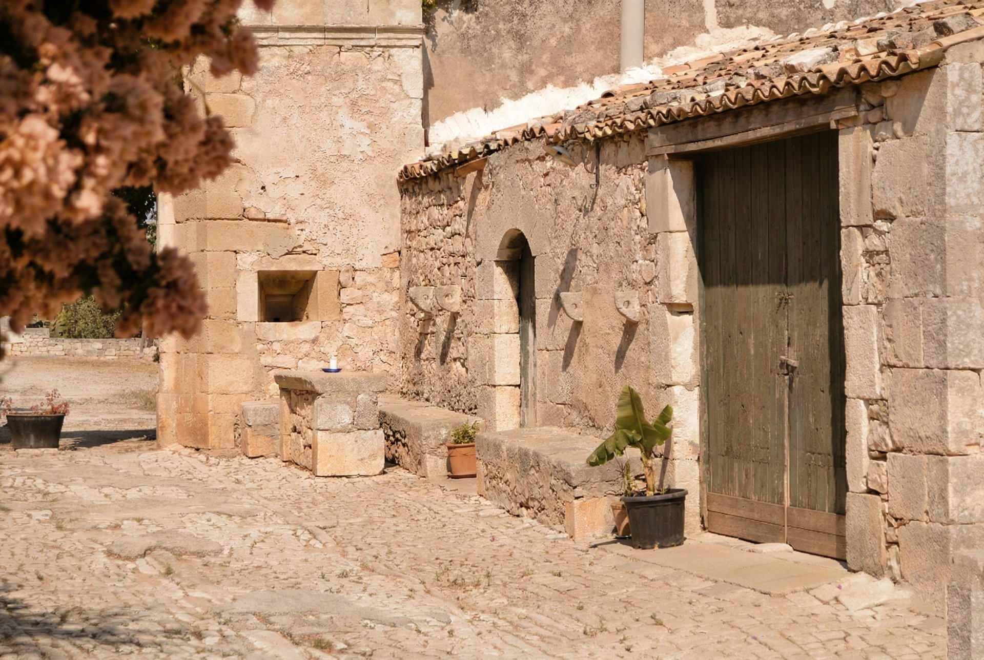 green wooden door near purple flower during daytime