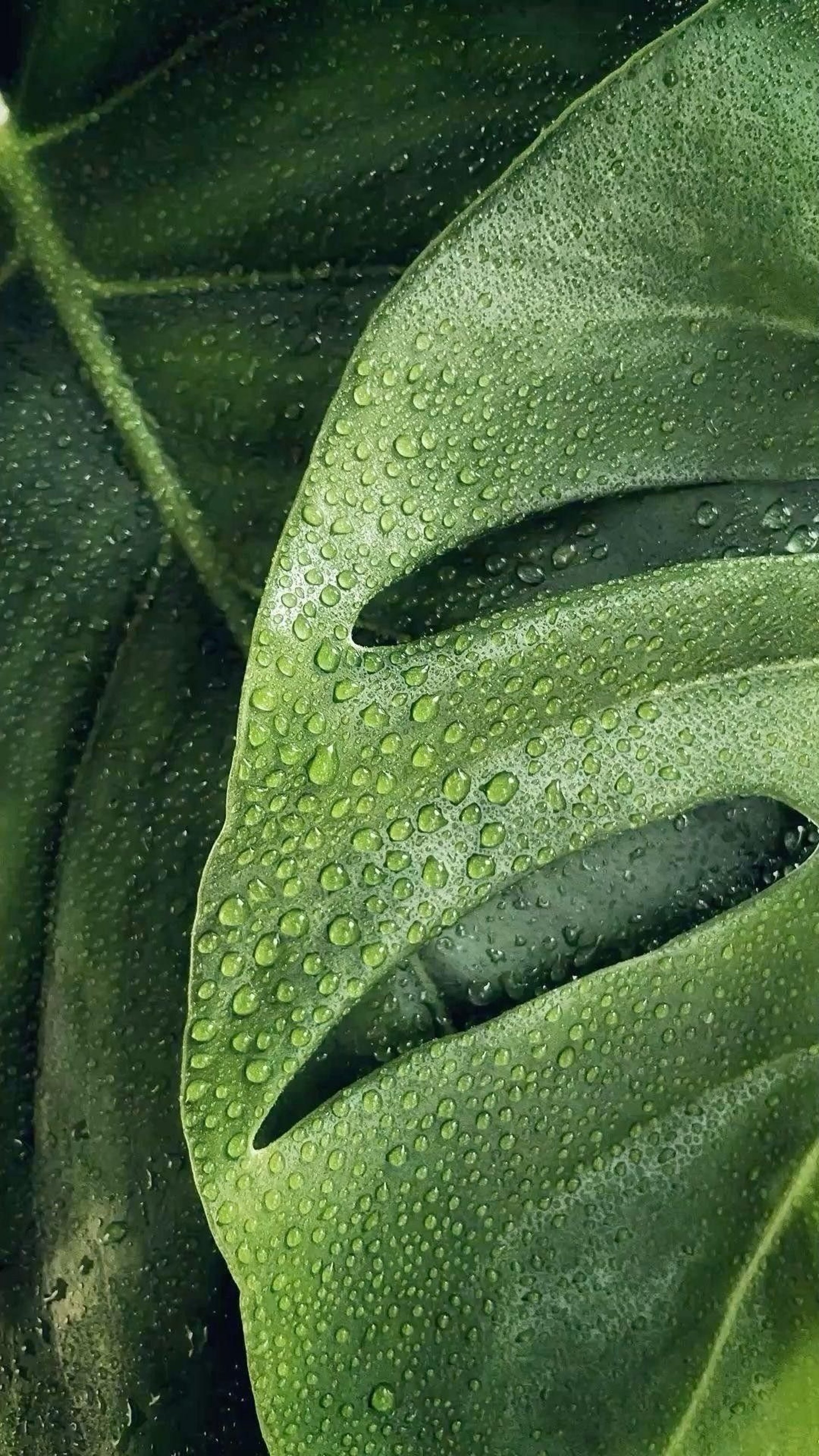 person wearing grey knit sweater