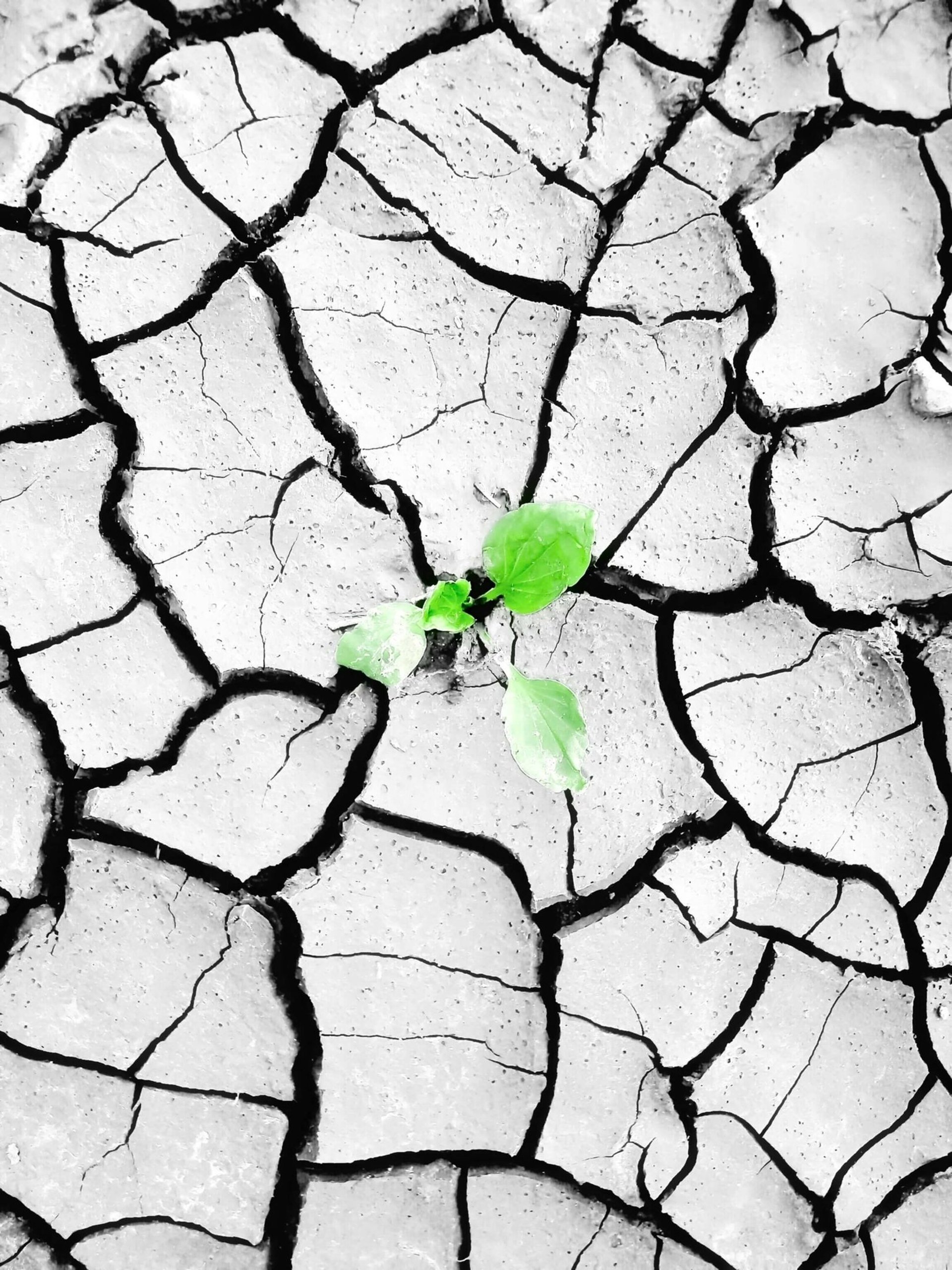 drought land