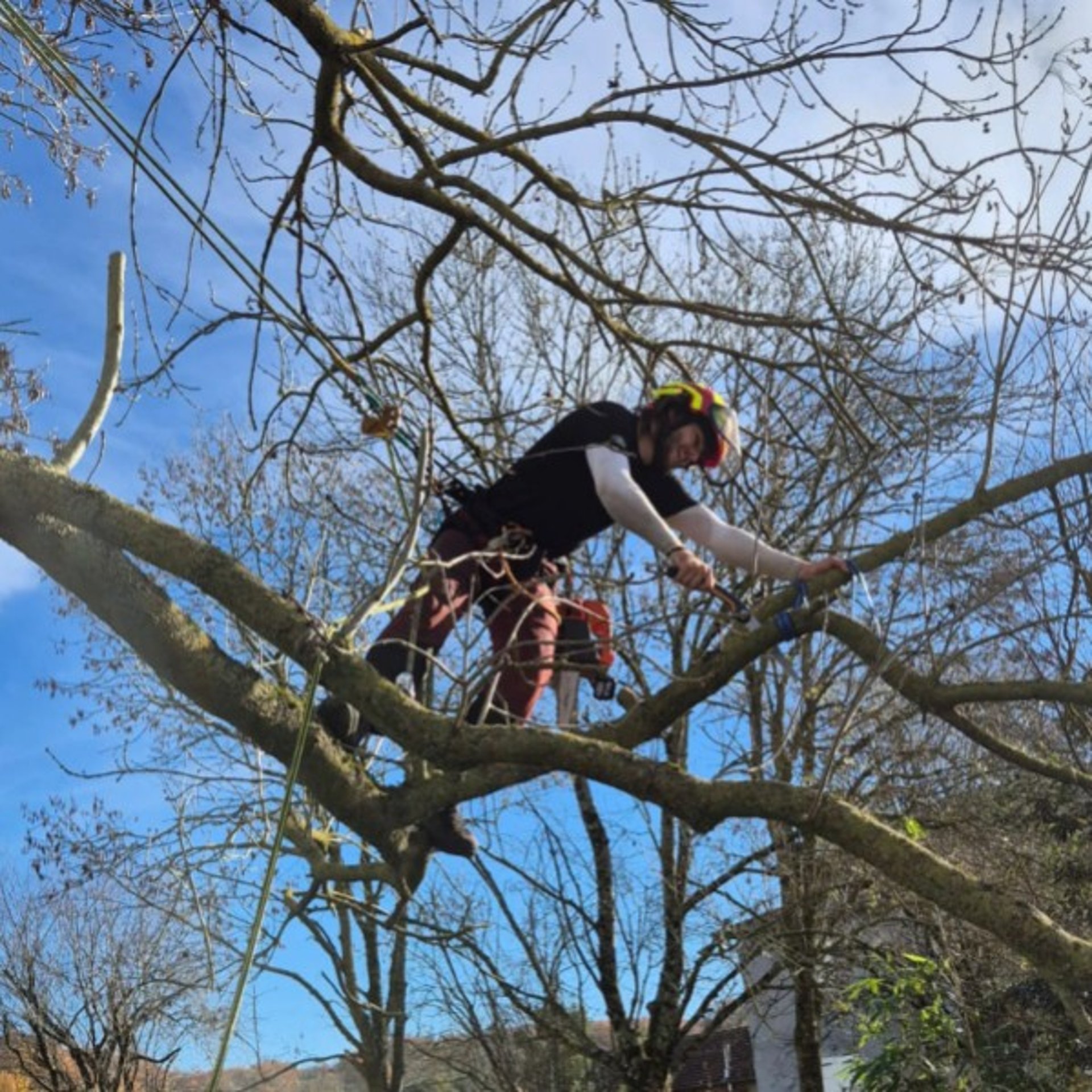 black and white bed linen