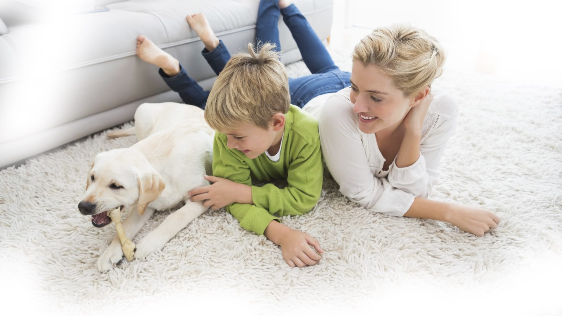 A person in protective suit cleans a carpet.