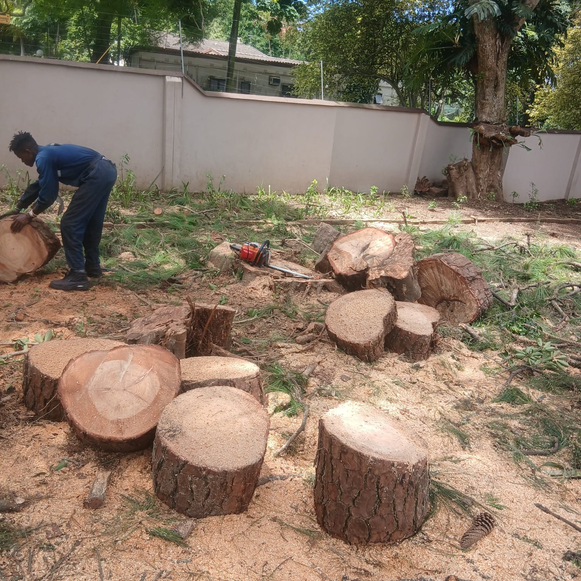 gray computer monitor