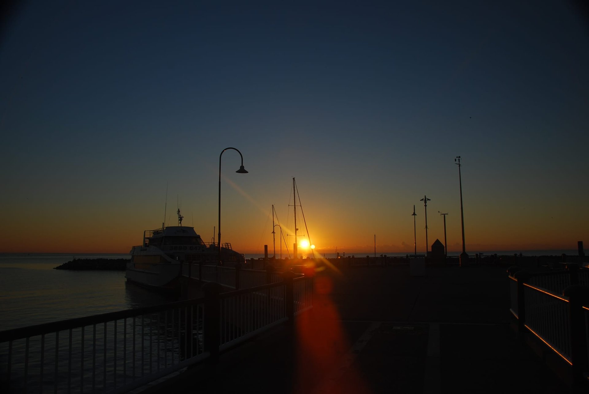 woman holding dried flower