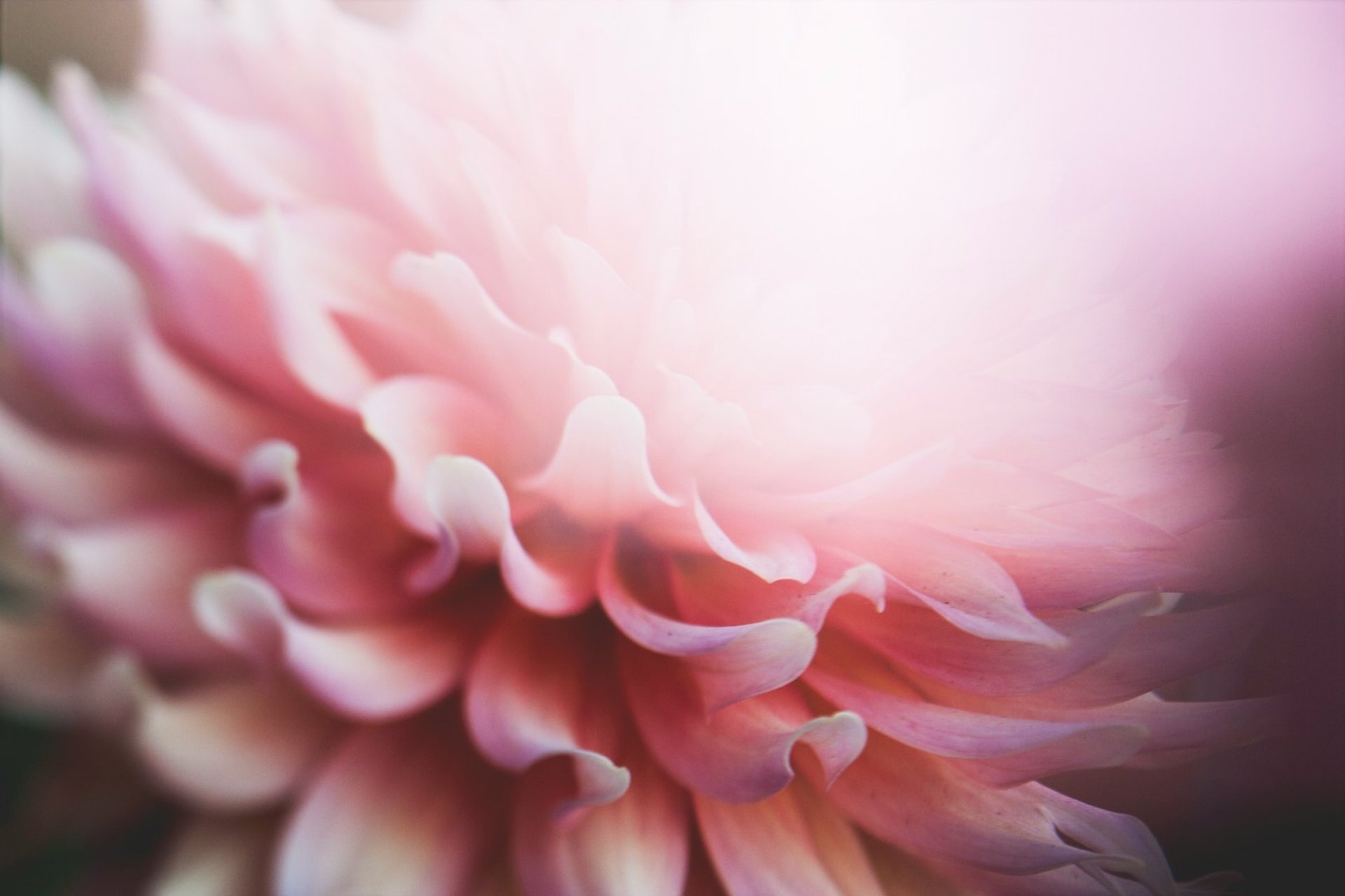white textile with black shadow