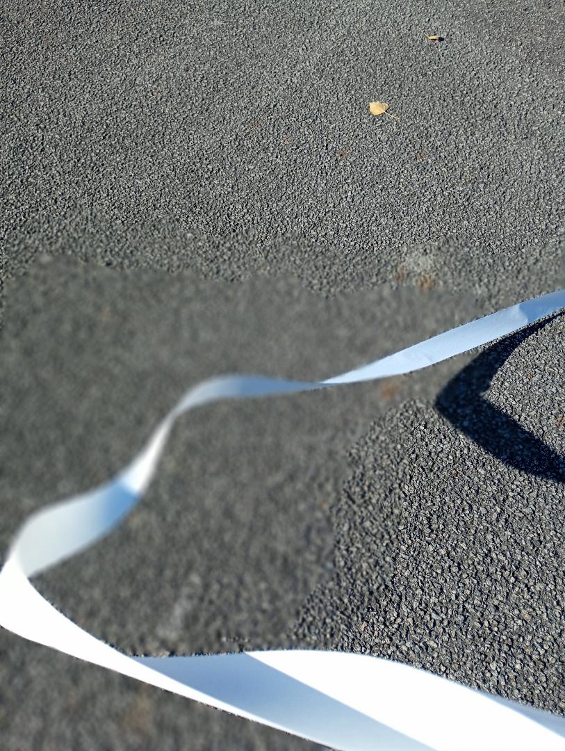 Here is a caption for the image: a stack of thin, layered paper.