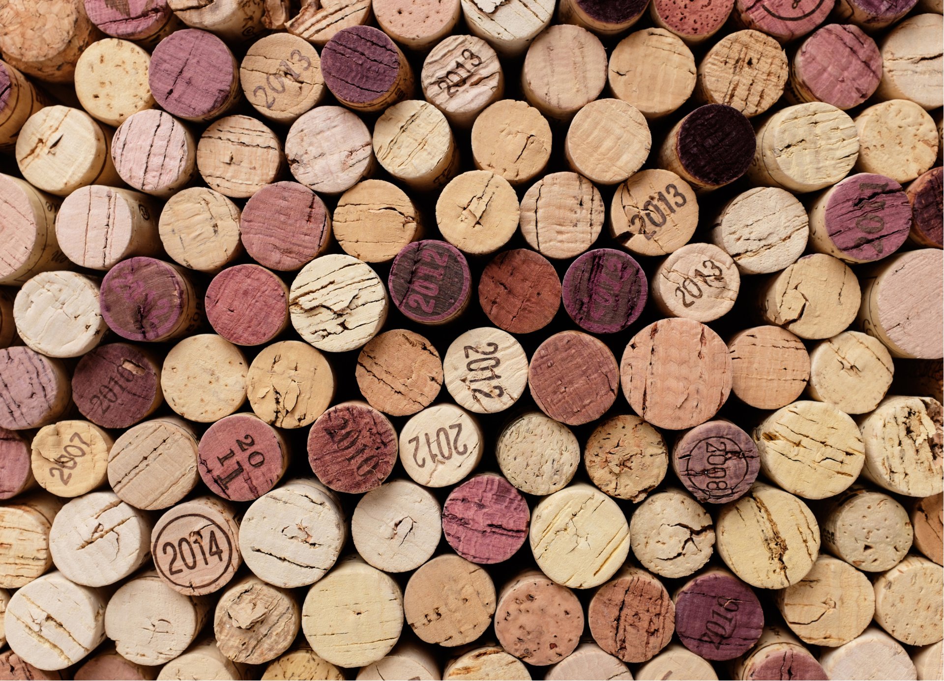 woman wearing yellow long-sleeved dress under white clouds and blue sky during daytime