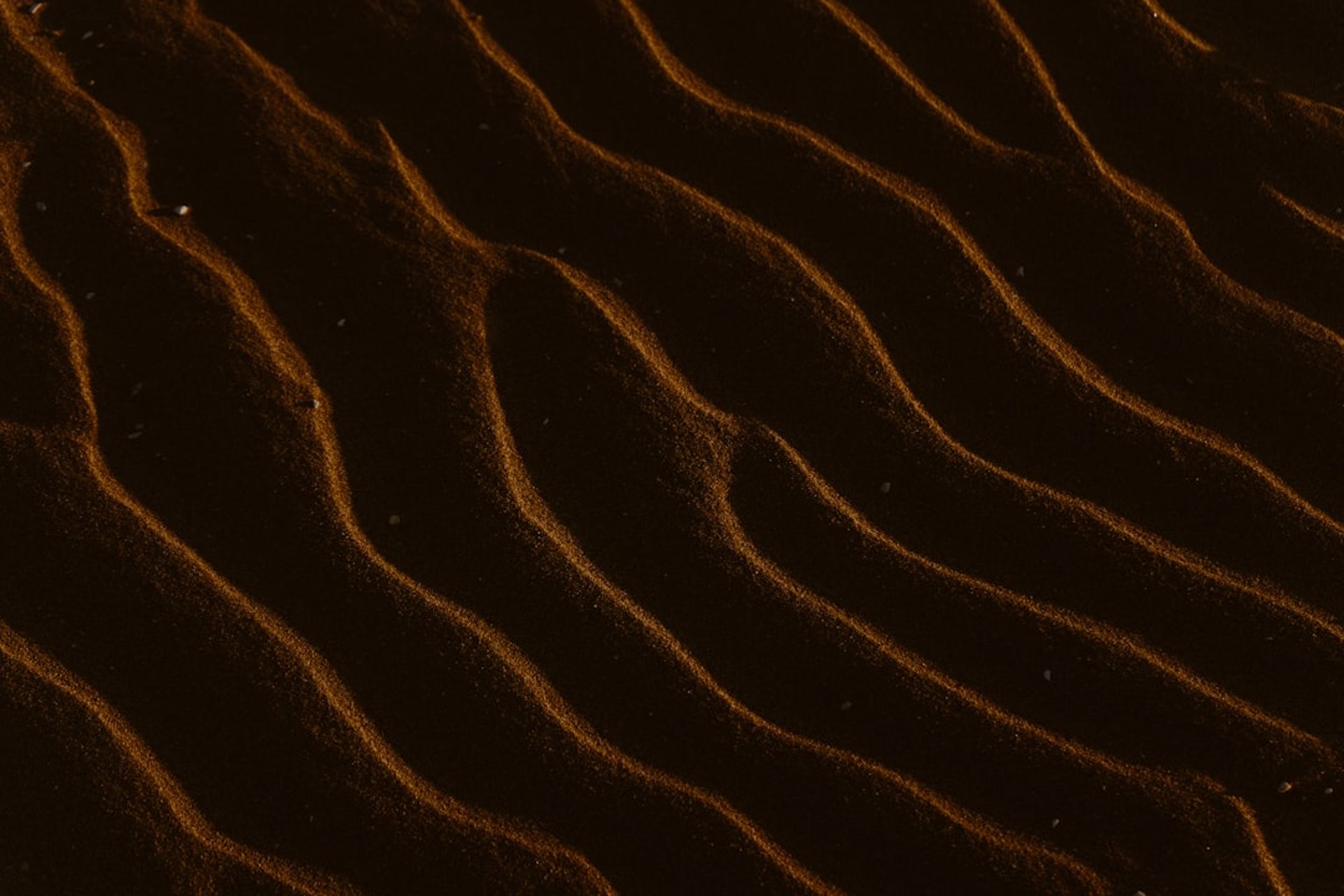 a close up of a black and brown abstract painting