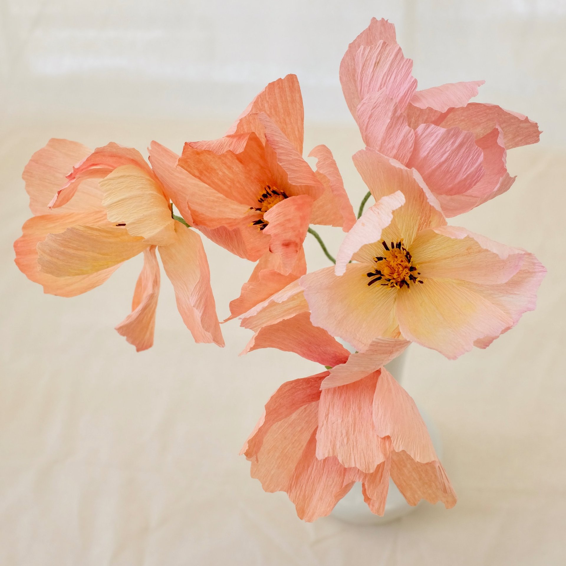 Fleurs en papier artisanales fabriquées en Normandie. Cosmos e papier.