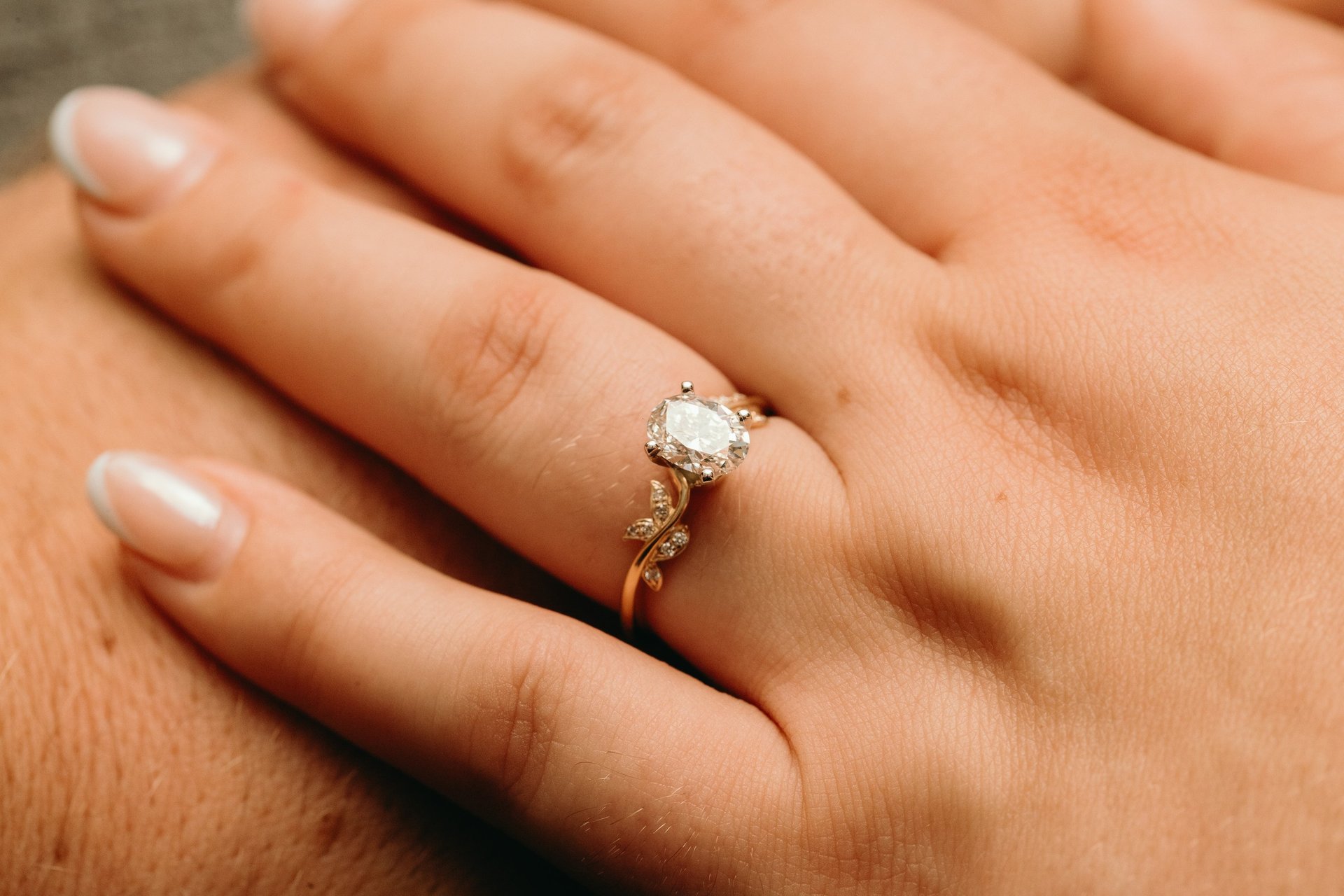 purple flower field during daytime