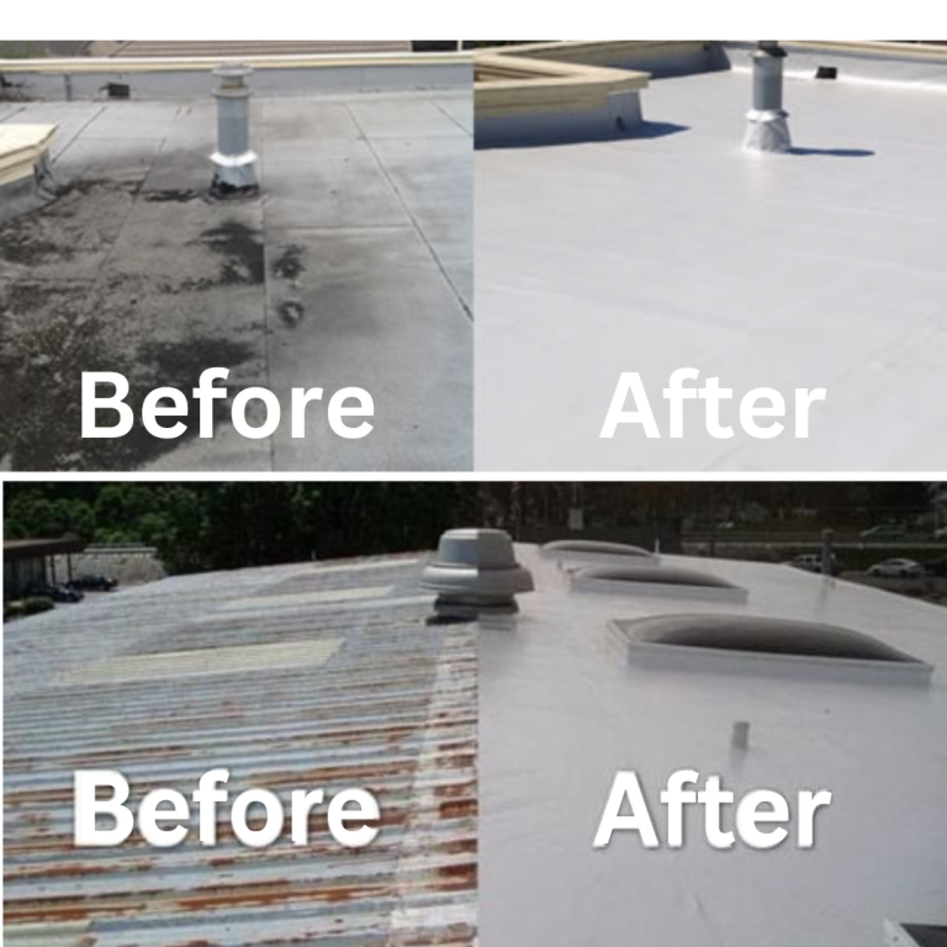 woman holding dried flower