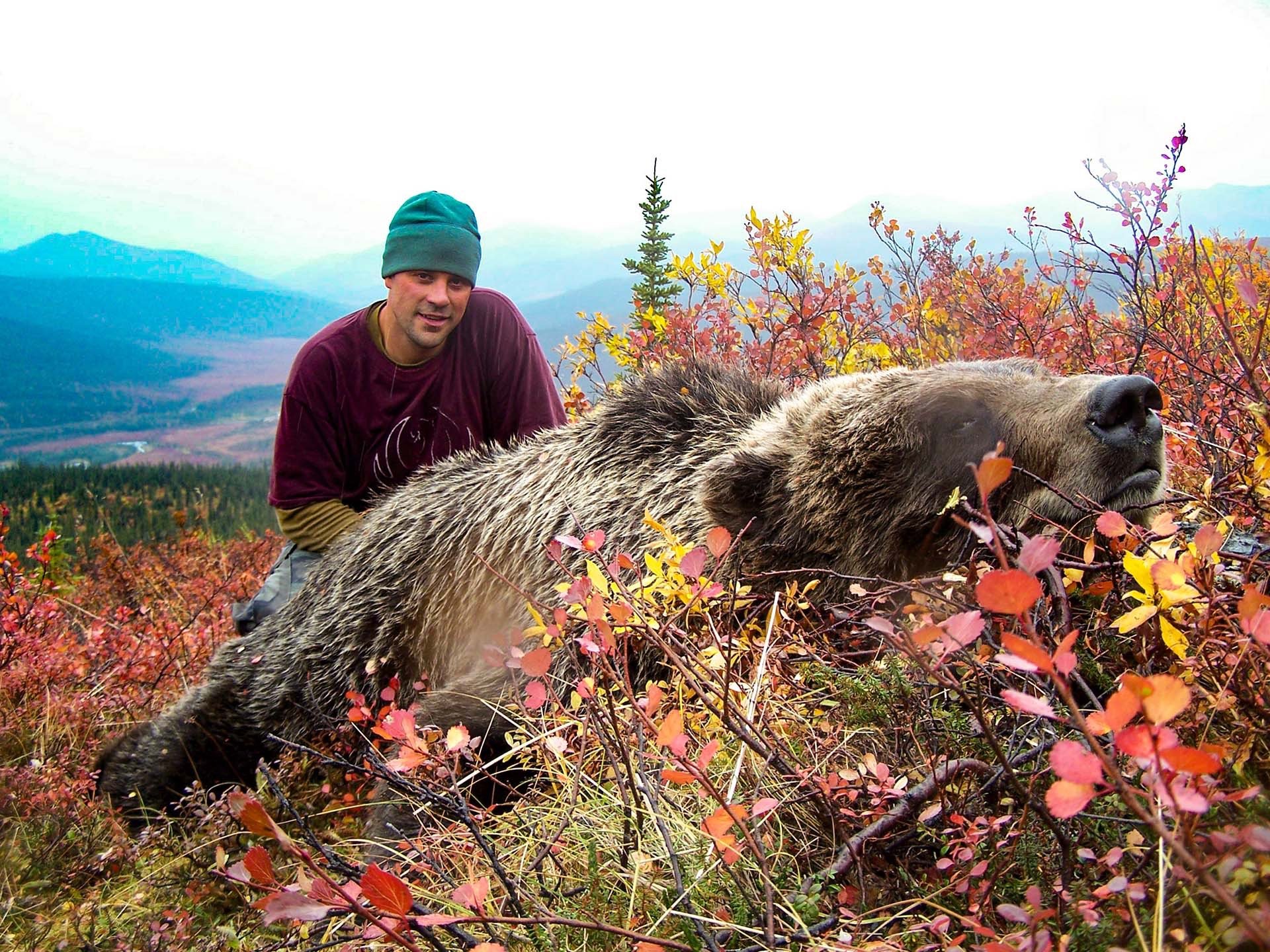 Successful hunter with a large trophy grizzly bear in the autumn Alaskan tundra.