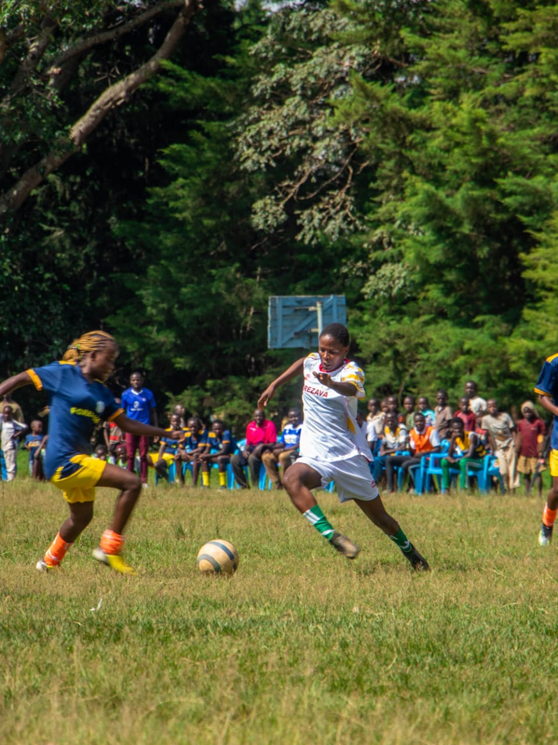 mountain range under blue sky