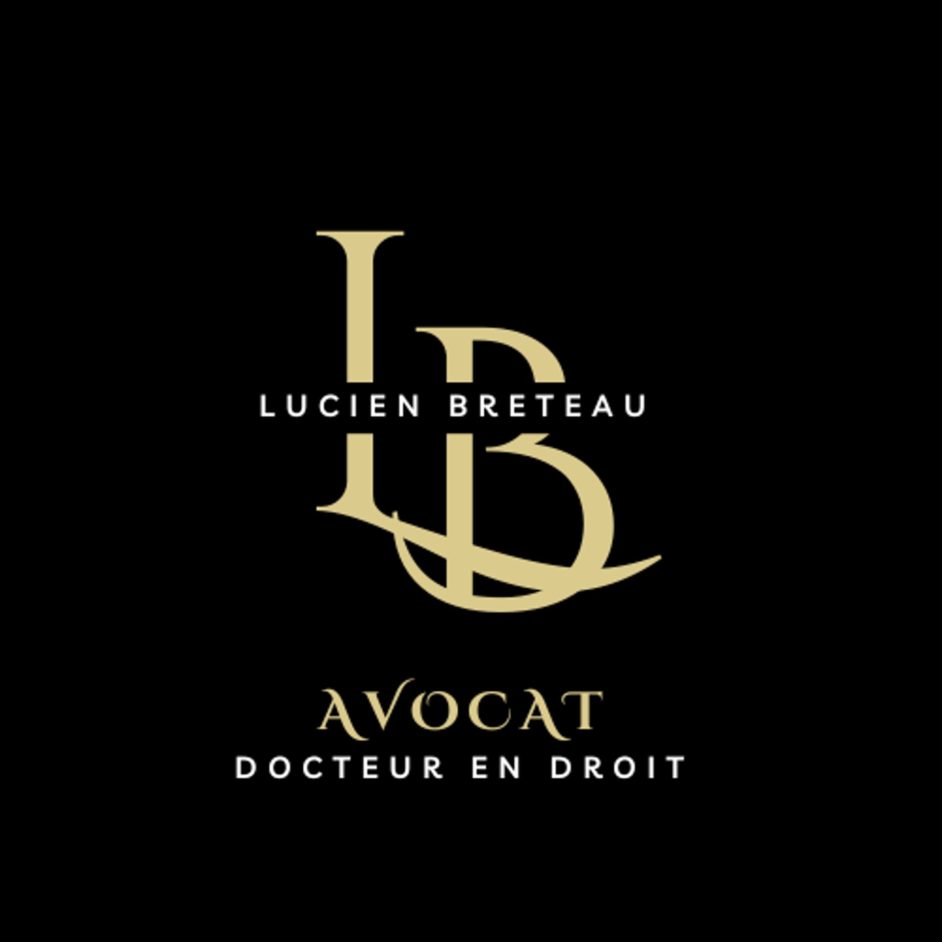 black and brown leather padded tub sofa