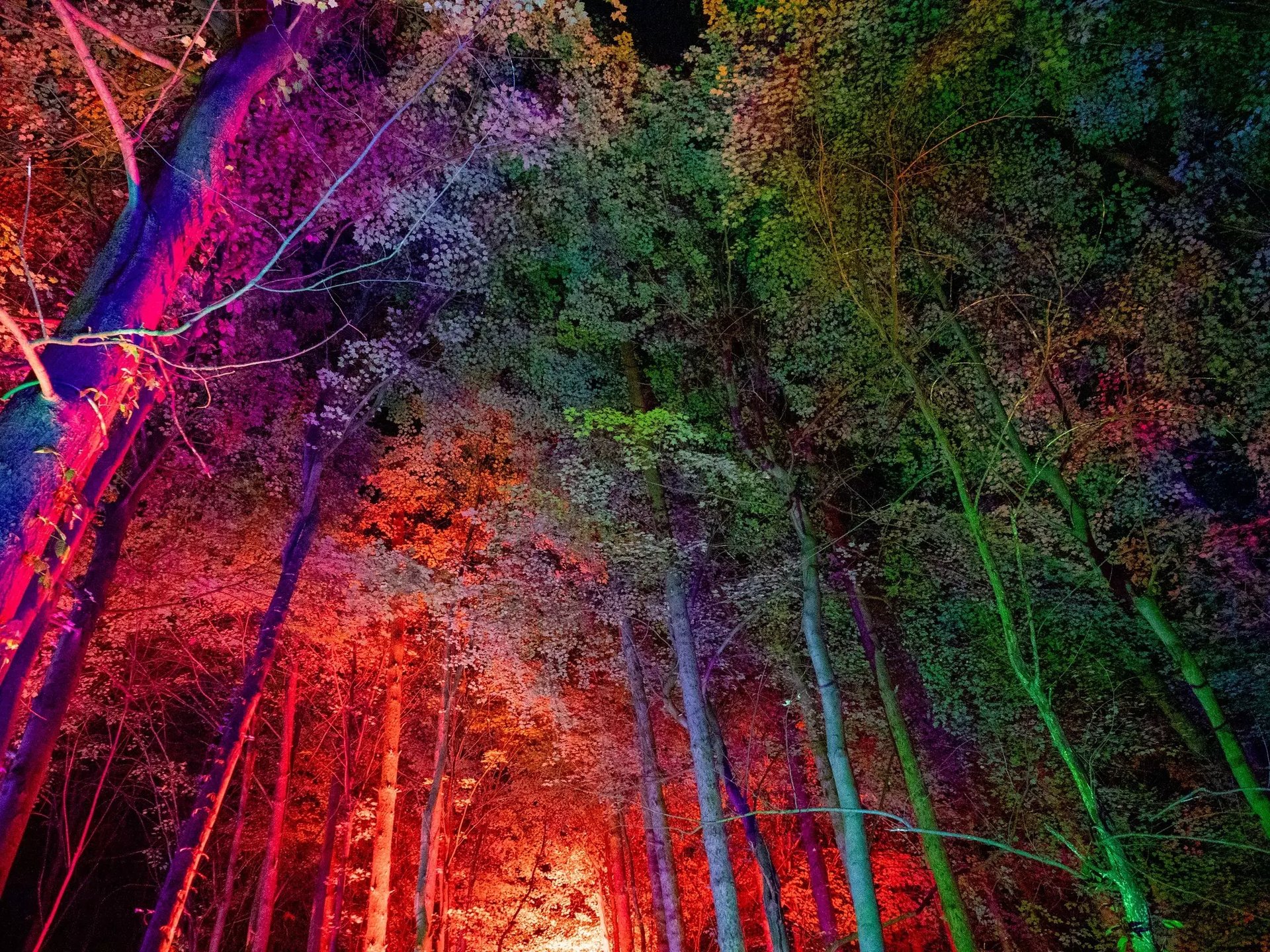 black and white bed linen